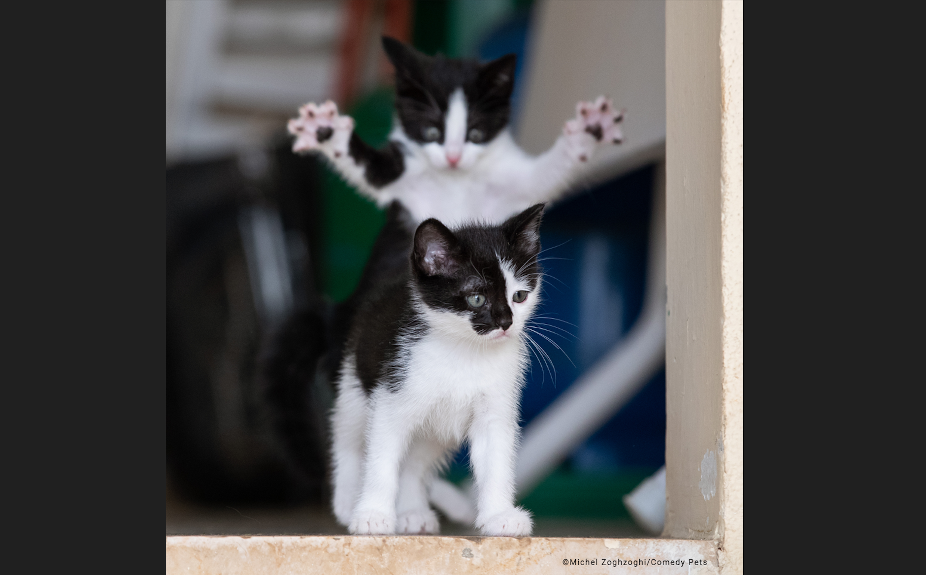 „Ein lebensveränderndes Ereignis“