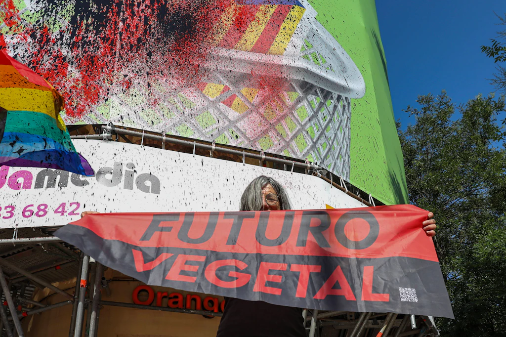 Ibiza: Klimaaktivisten besprühen Mega-Jacht von Milliarden-Erbin