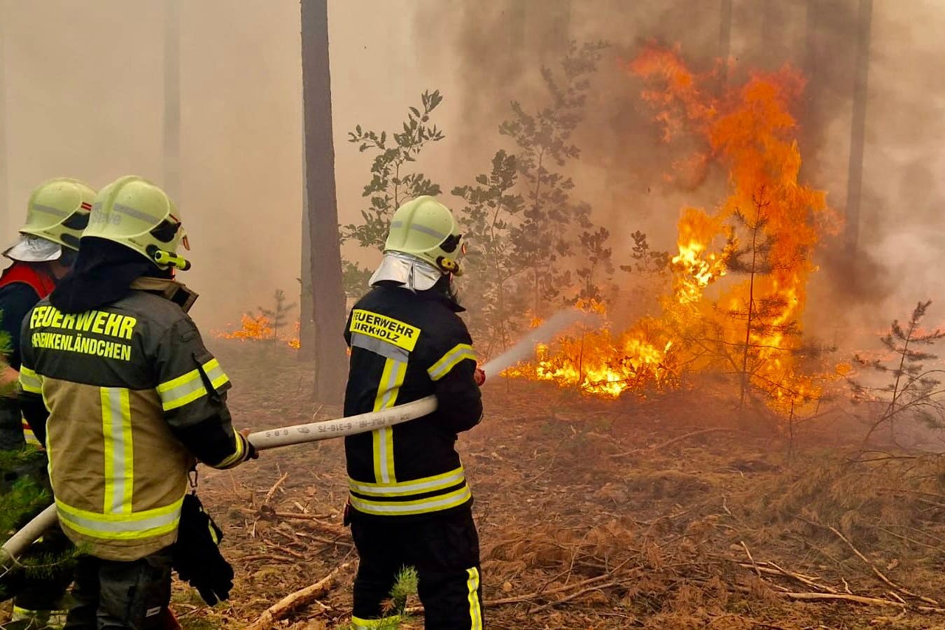 Feuerwehrleute bekämpfen einen Brand bei Halbe (Dahme-Spreewald). Die Feuerwehr ist am Montag zu mehreren Wald- und Feldbränden im Süden Brandenburgs ausgerückt.