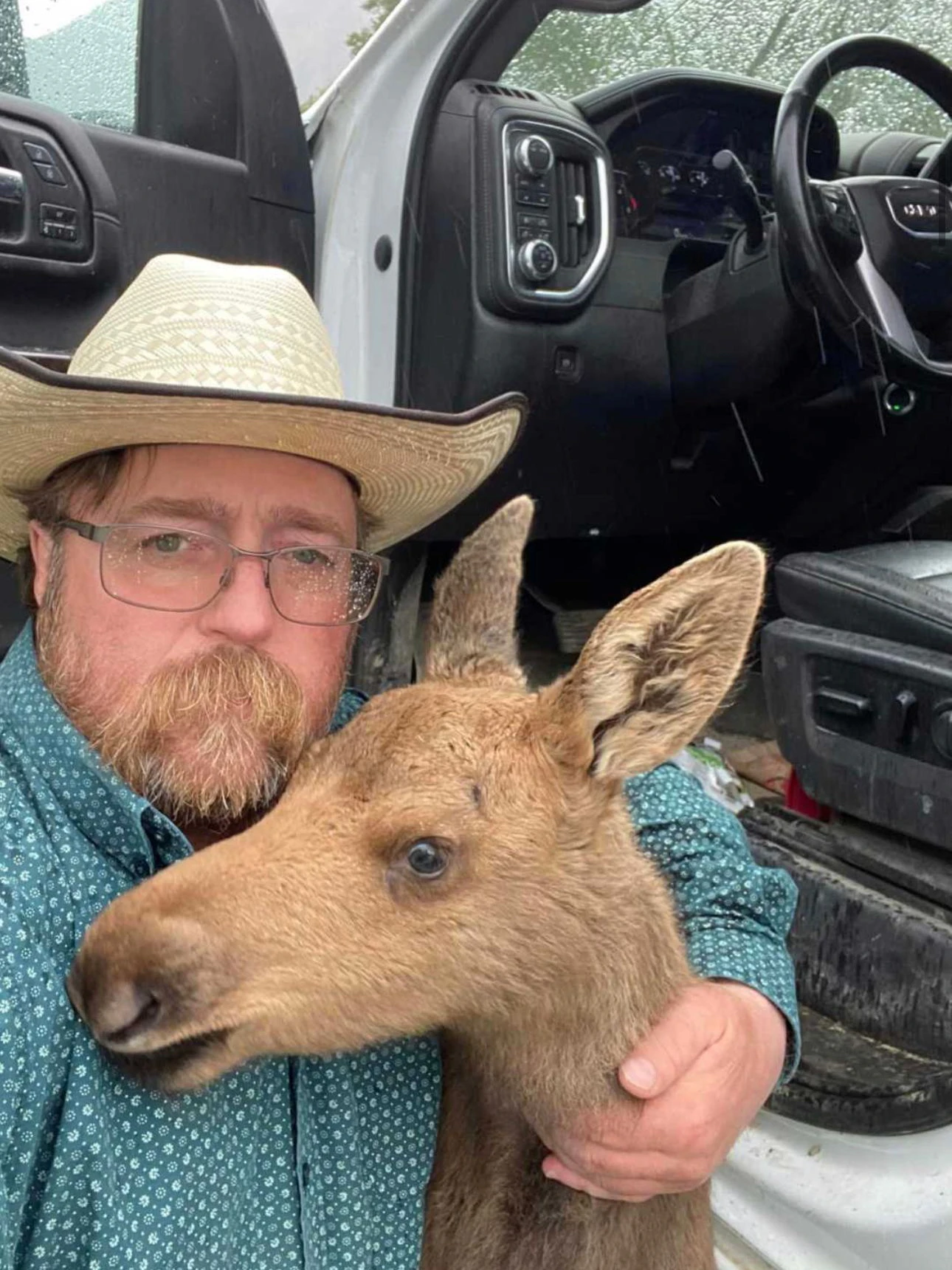 Mark Skage mit dem Elch-Baby.