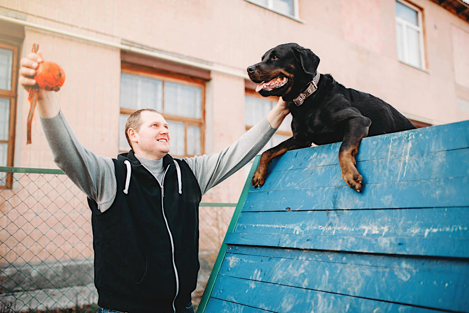 Hunde gehören zum Bild einer Großstadt. Entsprechend muss Hunde-Lärm in Berlin toleriert werden.