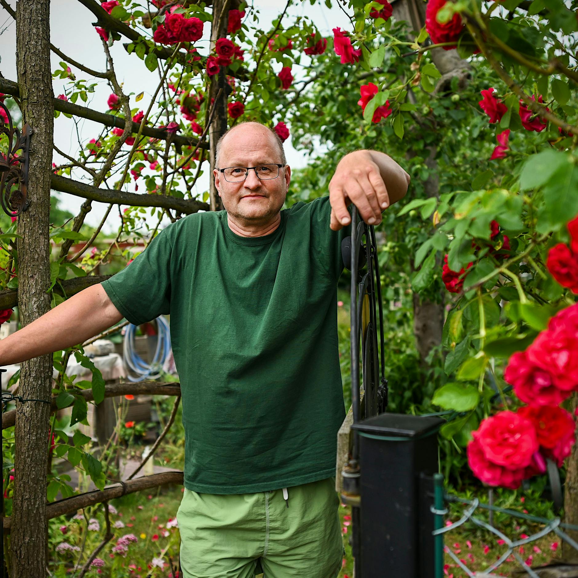 Kleingarten-Skandal: Dieser Trick könnte Berliner Gärtner vor dem Aus retten