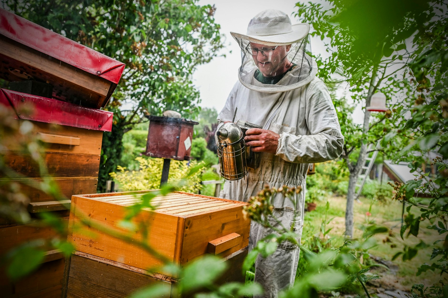 Wolfgang Baum als Imker: Er hat in seinem Pankower Garten sogar Bienenstöcke.