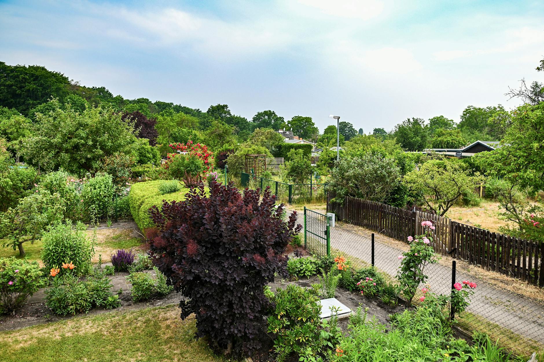 So grün kann Berlin sein – Kleingartenanlagen in Pankow.