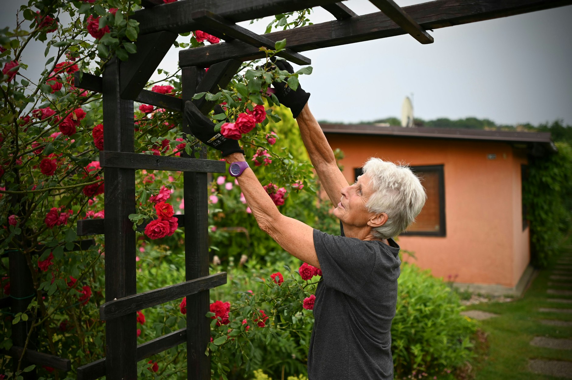Inga Uhlmann und ihre Rosen: Kann sie ihren Garten in der Alten Baumschule weiter nutzen?