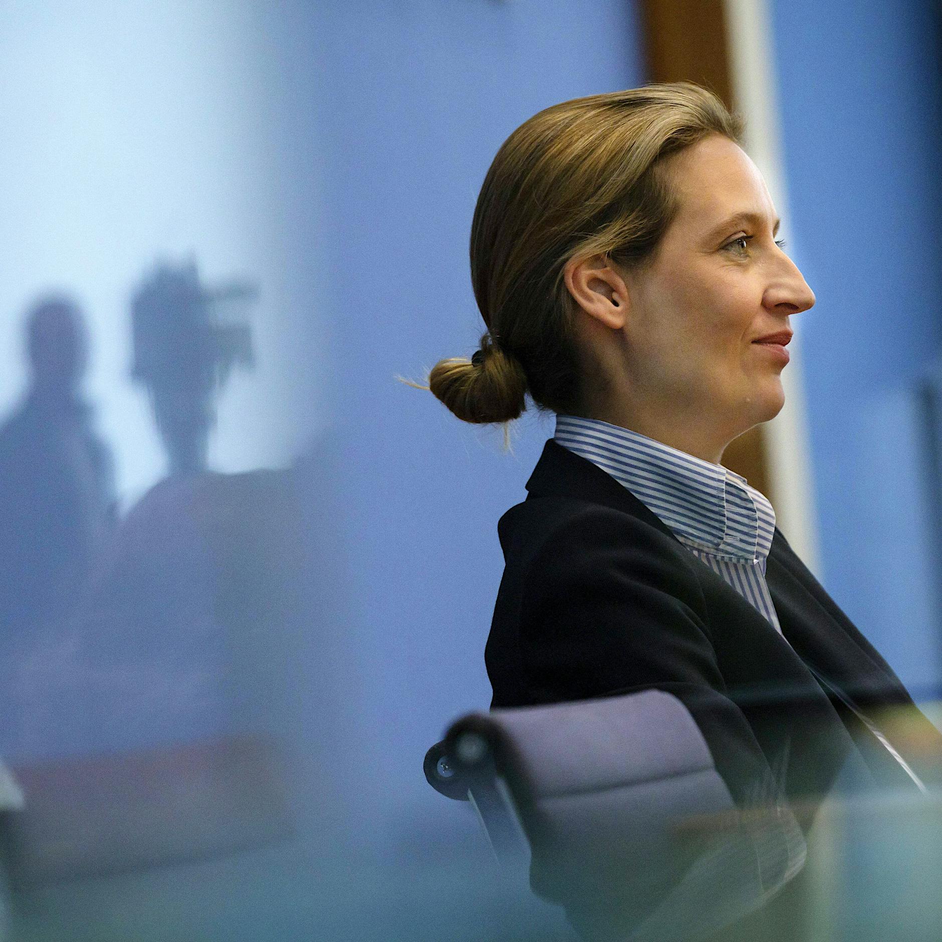 Radikale Umgestaltung Europas: Das plant die AfD