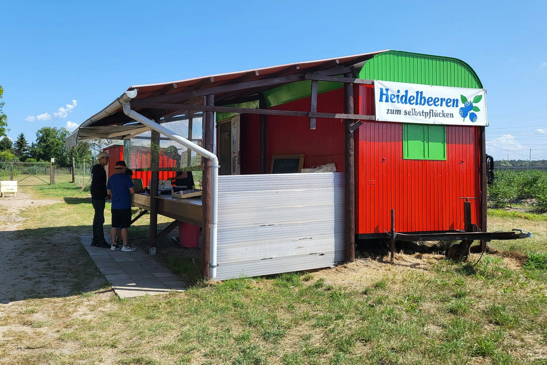 Heidelbeer-Selbstpflücke in Elisenau: Hier wird gewogen und bezahlt. Rucksäcke und Ähnliches müssen in dem Wagen bleiben – man hat schlechte Erfahrungen mit Heidelbeerschmugglern.