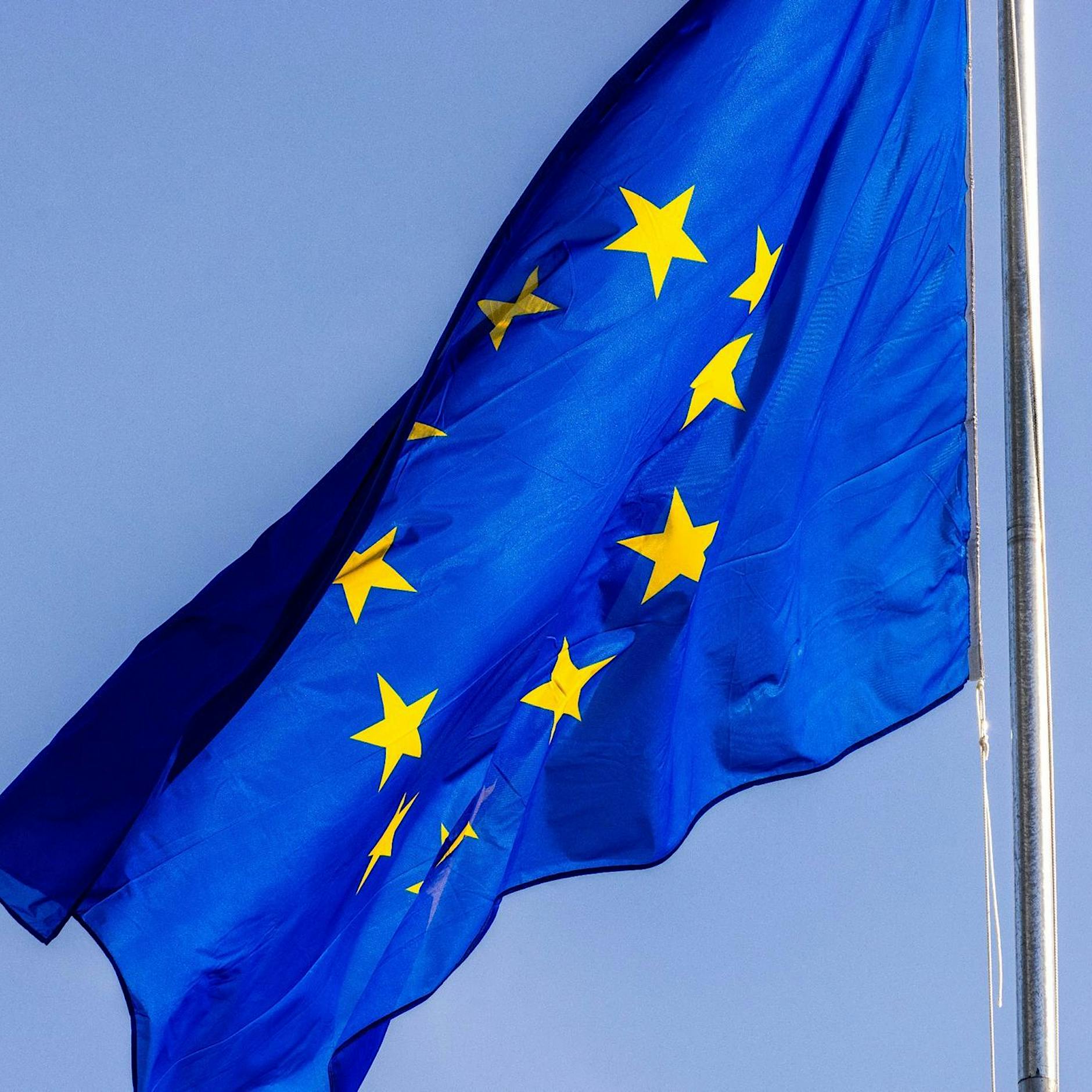 Korruption im EU-Parlament: Razzia im Haus der Abgeordneten Maria Arena