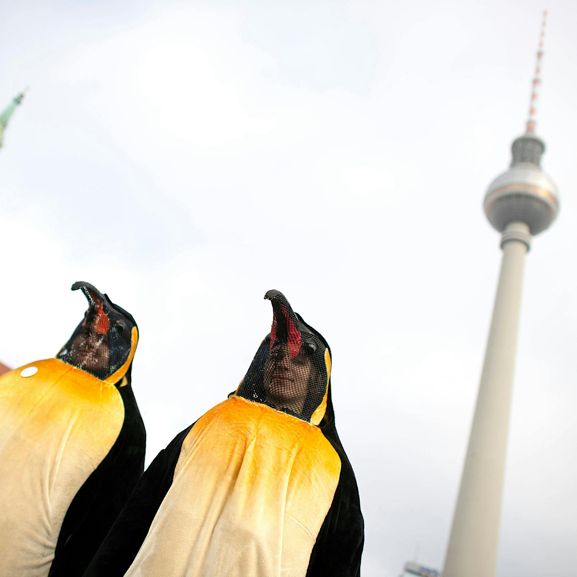 Studie: Linke Wähler lehnen andere Meinungen stärker ab als rechte