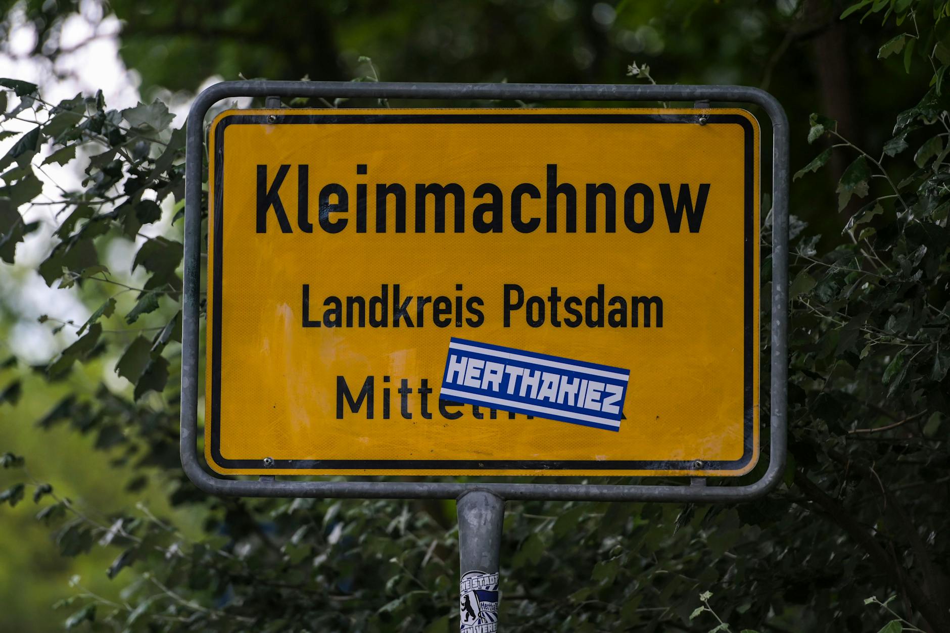 In Kleinmachnow wurde eine Löwin gesichtet. 