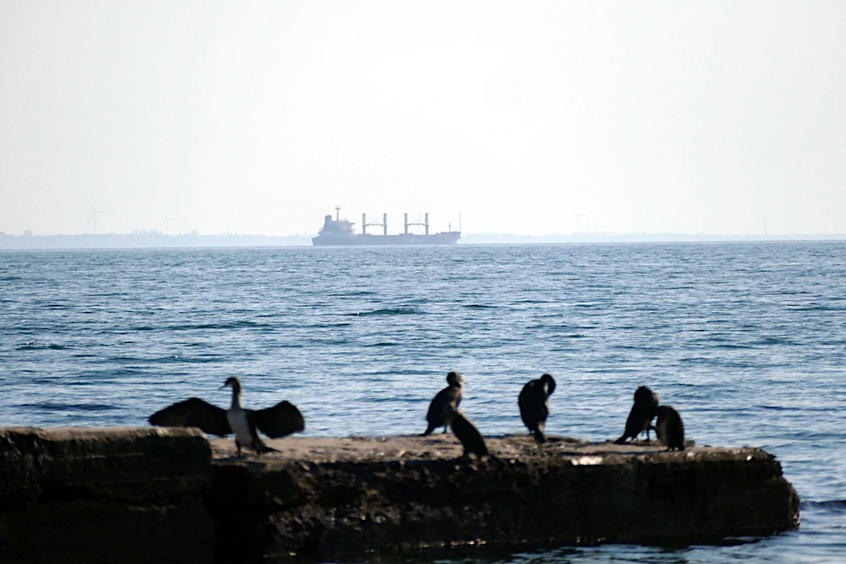 Der türkische Massengutfrachter „Tq Samsun“, der im Rahmen der Getreide-Initiative mit ukrainischen Agrarprodukten beladen wurde, verlässt den Hafen von Odessa in der Südukraine. Es handelte sich um das letzte Schiff im Rahmen des Getreideabkommens.&nbsp;