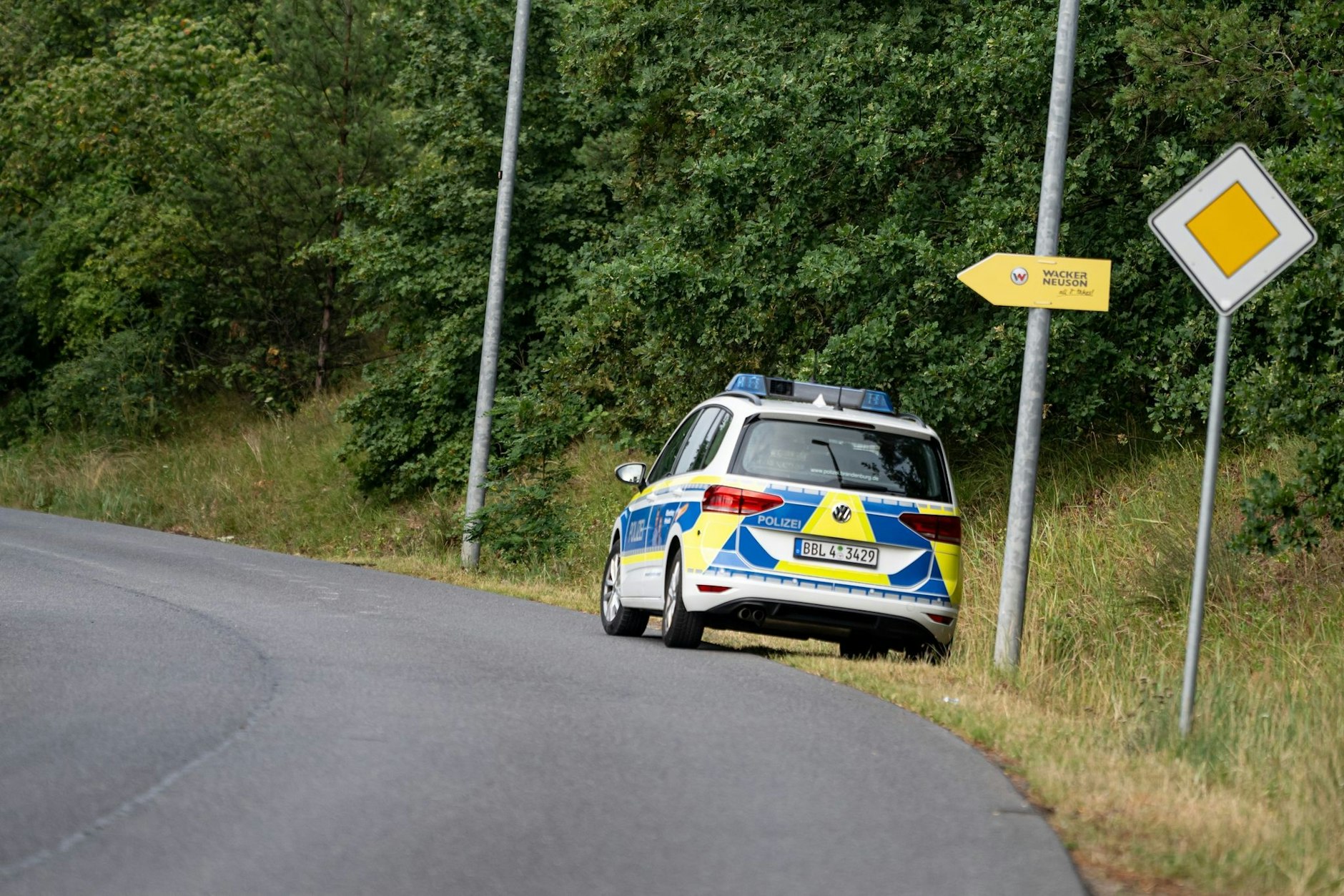 Im Süden von Berlin wurde ein Raubtier gesichtet, höchstwahrscheinlich eine Löwin. Die Polizei sucht nach dem Tier.
