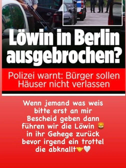 Firas R., Mitglied eines arabischen Clans, bietet sein Hilfe an.