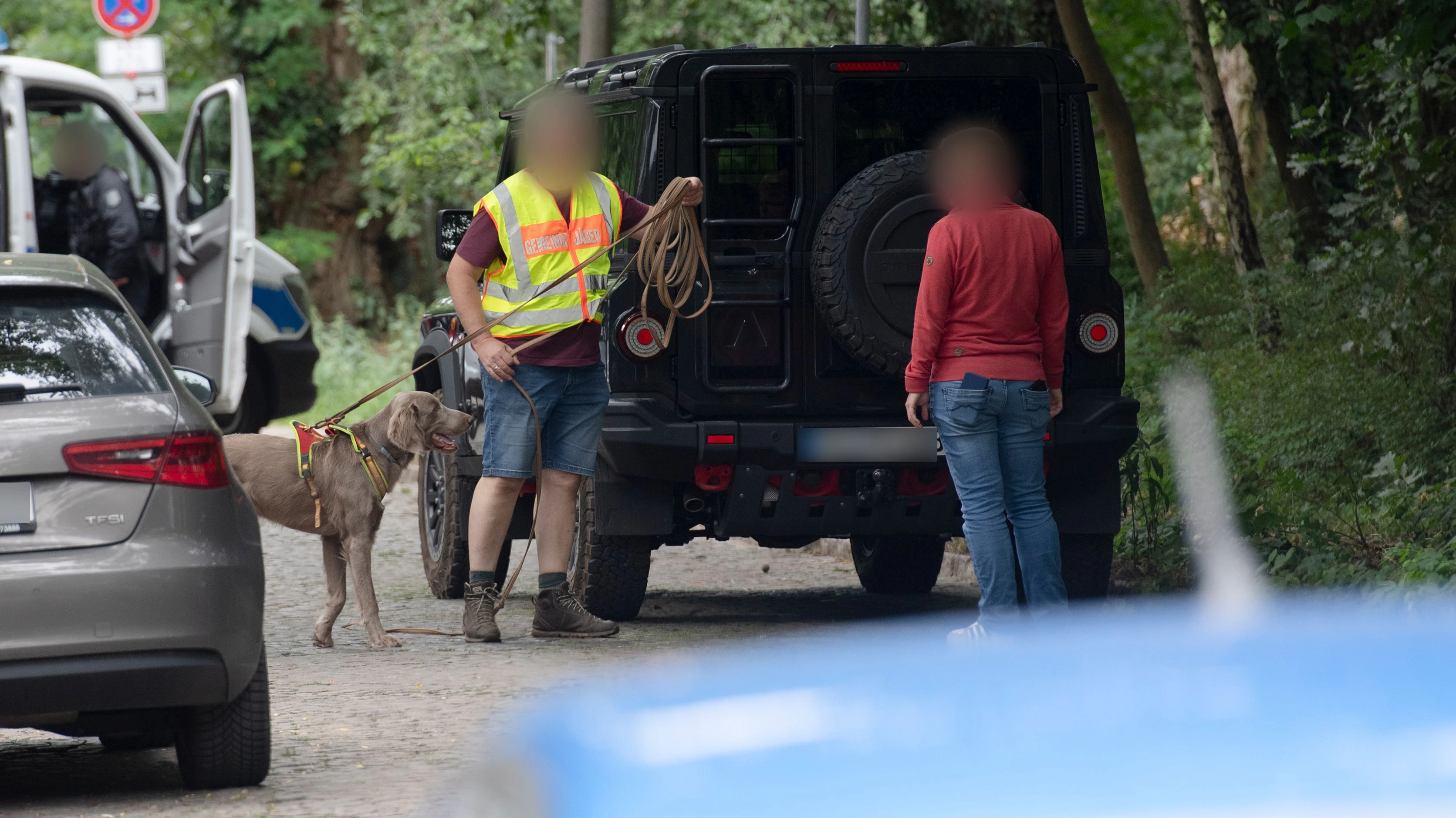 Löwenjagd in Berlin-Brandenburg. Bei der Suchaktion sollen auch Hunde die Raubkatze aufspüren helfen.&nbsp;