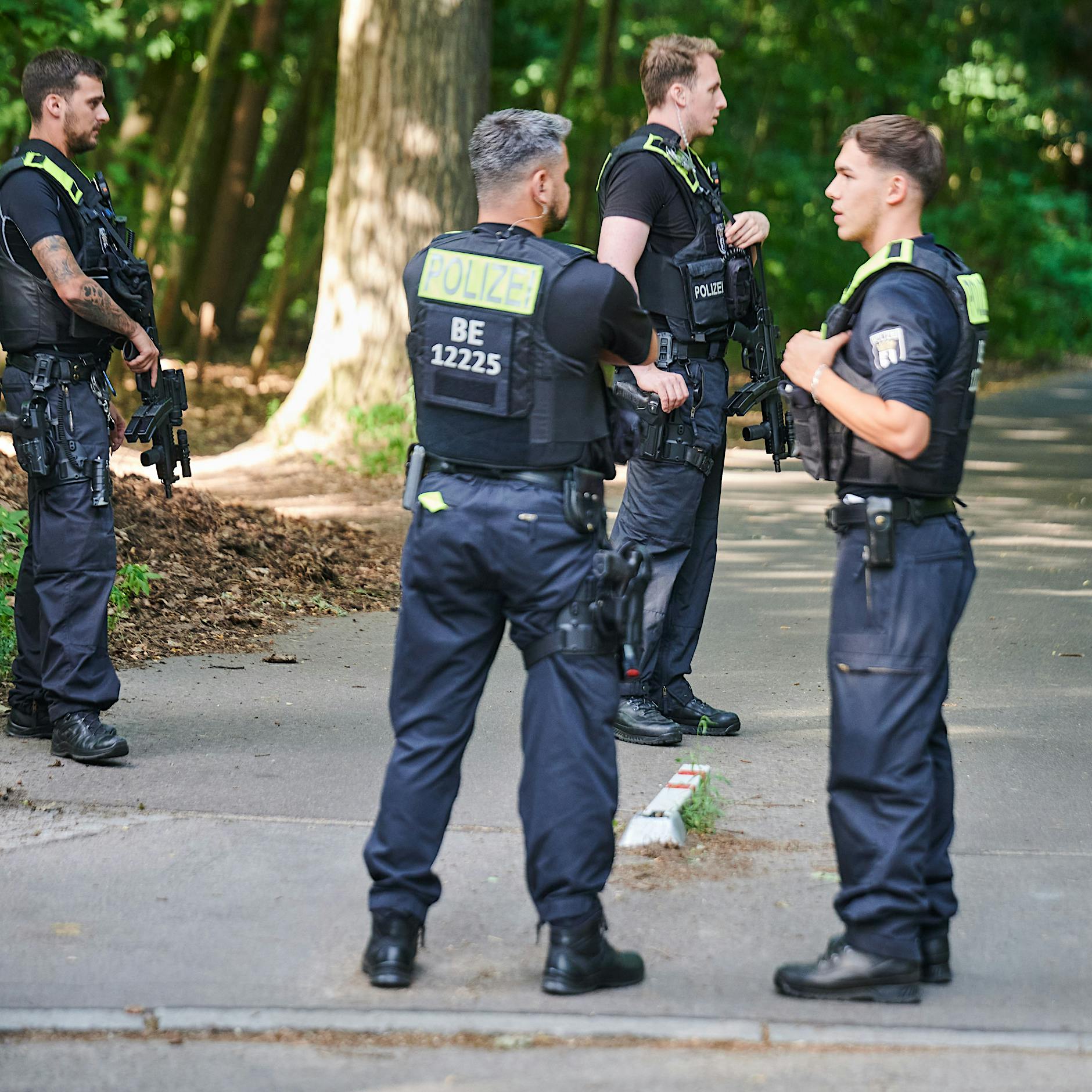 Löwin in Berlin gejagt – Polizei: „Wir suchen so lange, bis das Tier gefunden ist“
