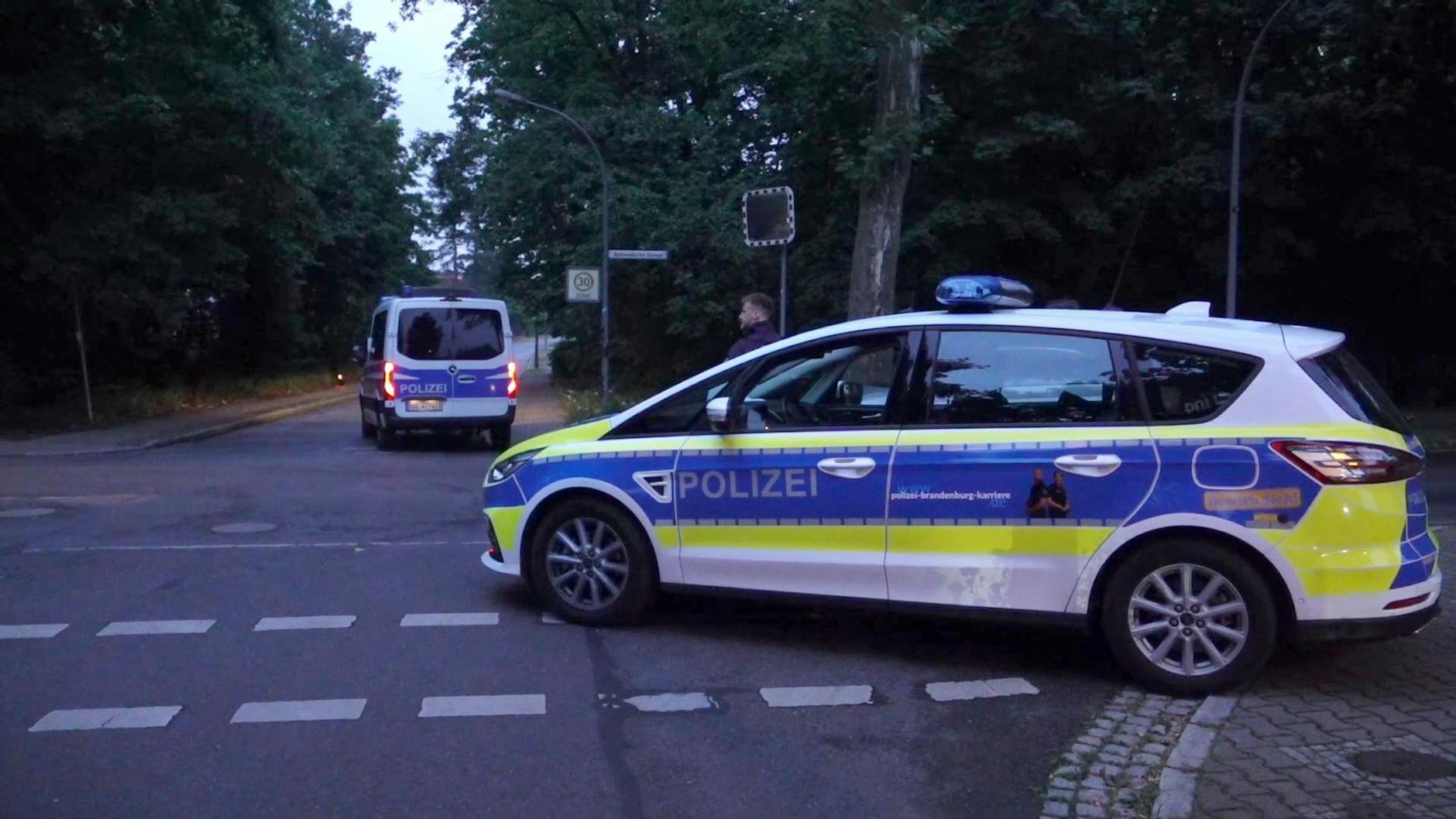 Polizeifahrzeuge sind bei einer Suchaktion nach der freilaufenden gefährlichen Raubkatze im Einsatz.