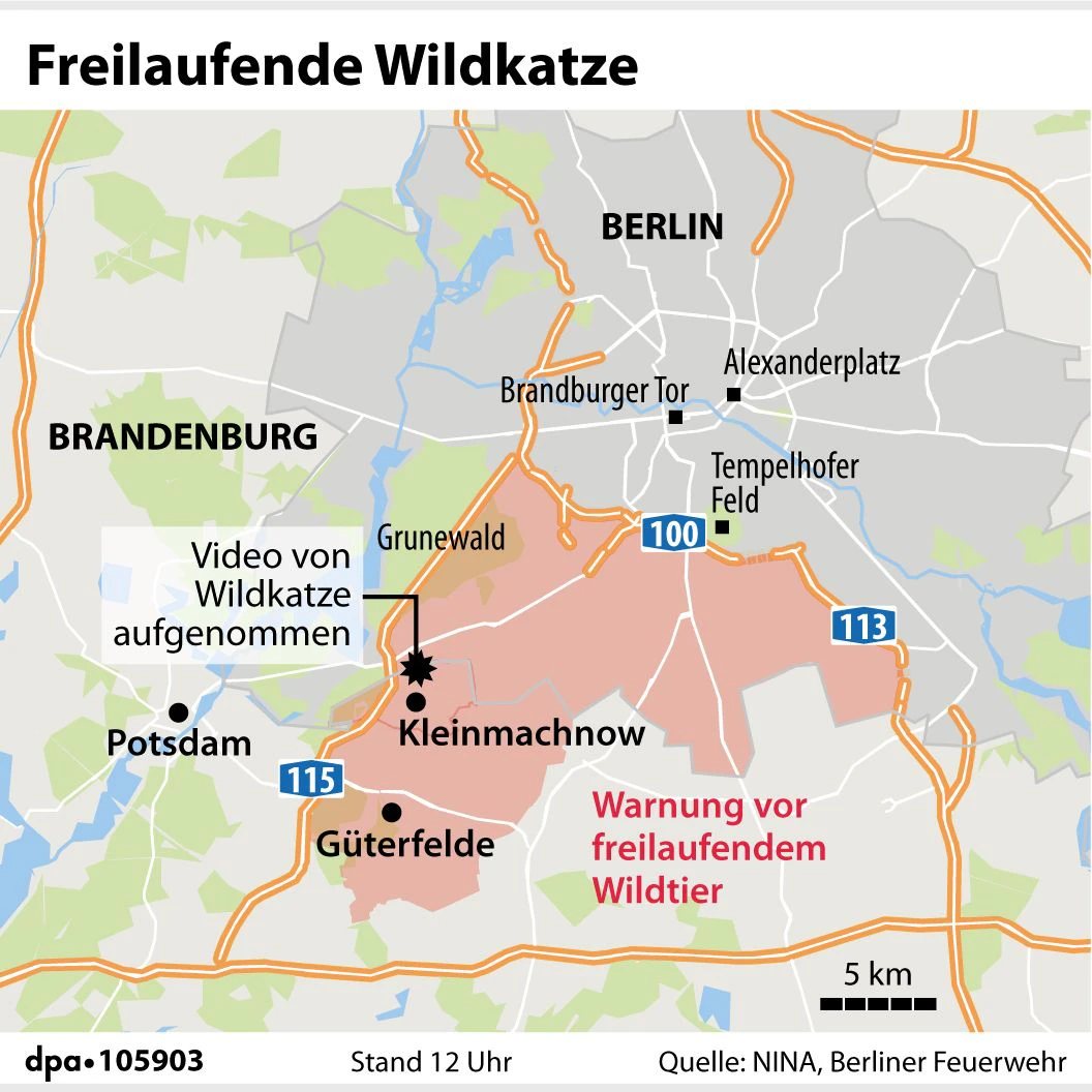 In diese Bereich soll die Löwin sich aufhalten.