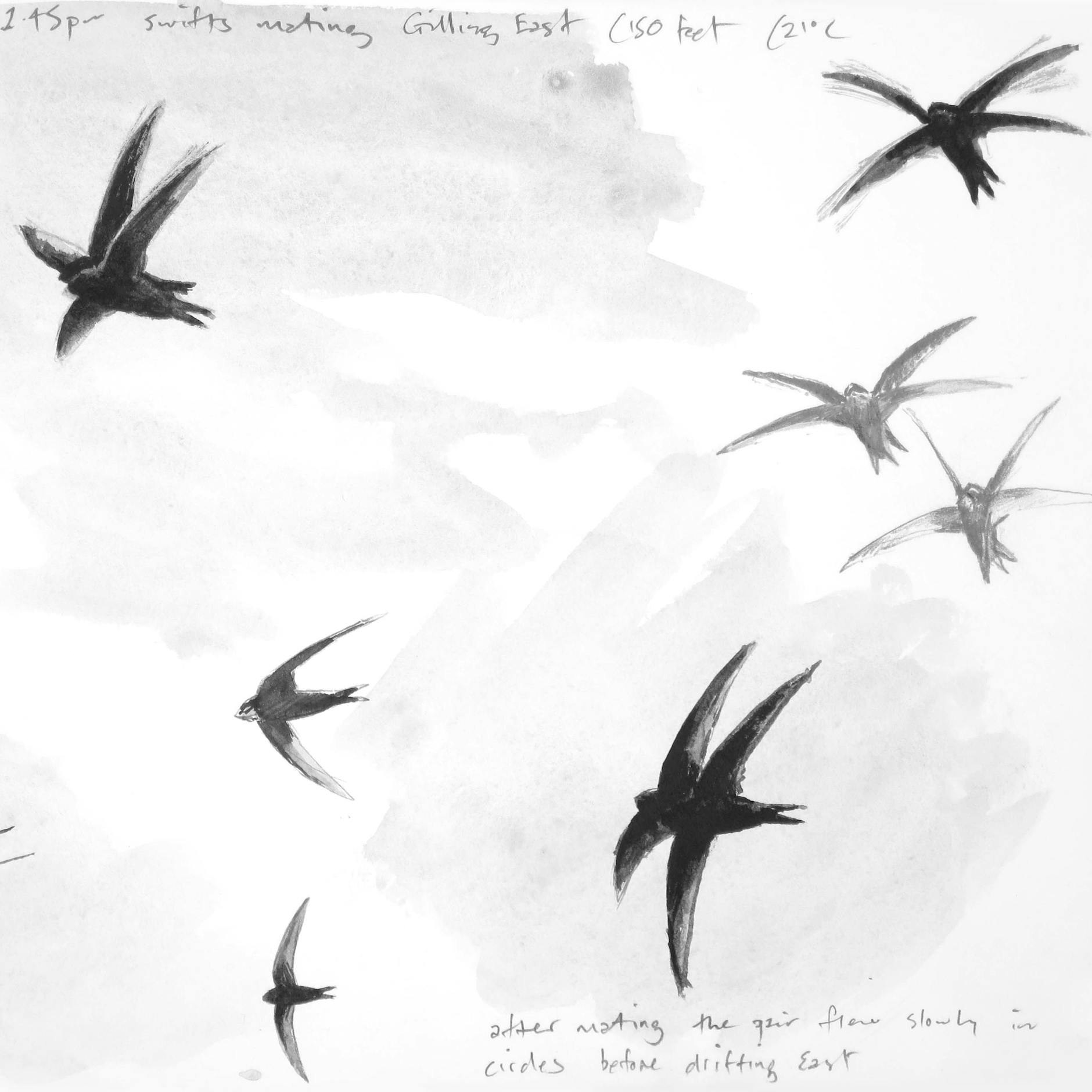 Illustration aus dem Band