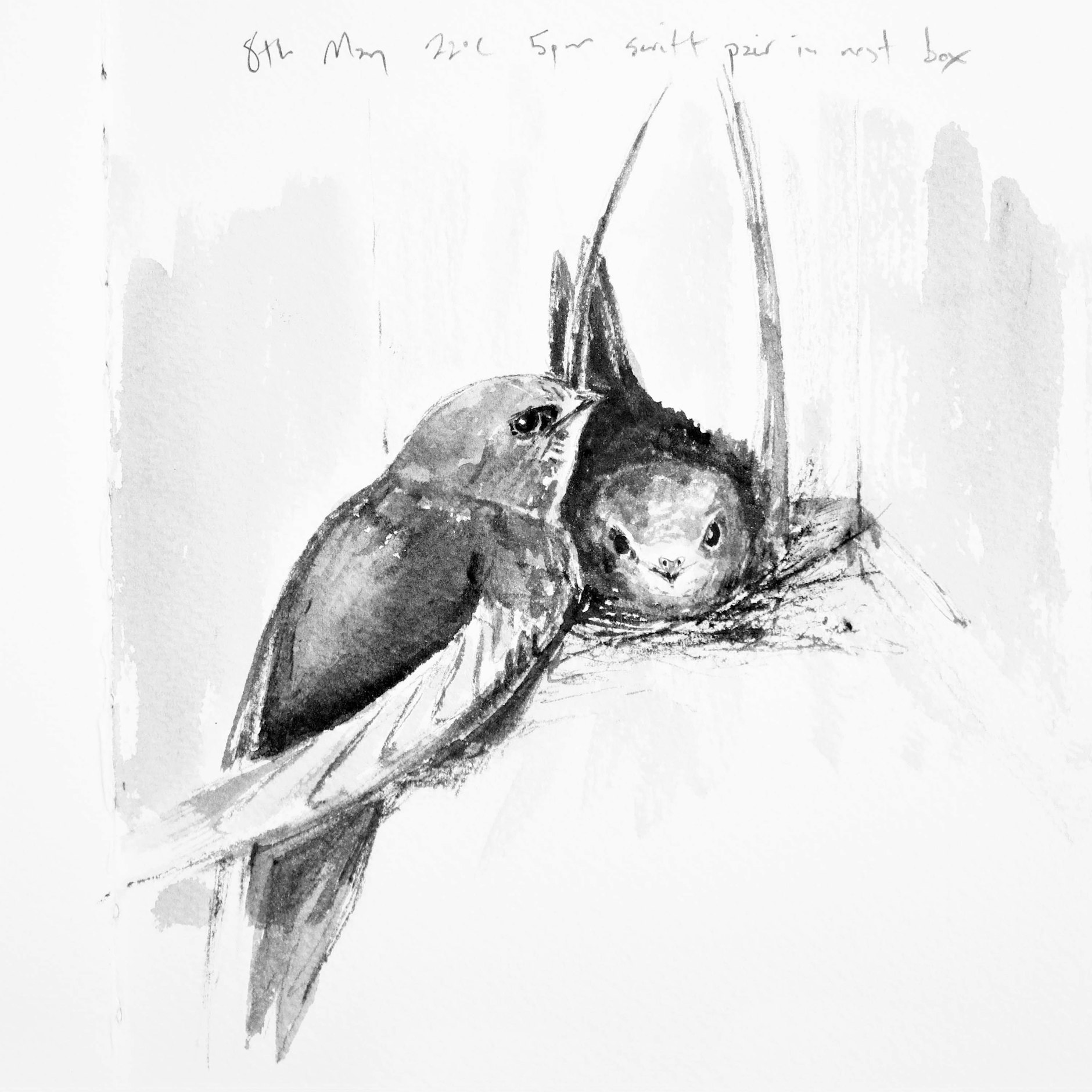 Illustration von Jonathan Pomroy aus dem besprochenen Buch