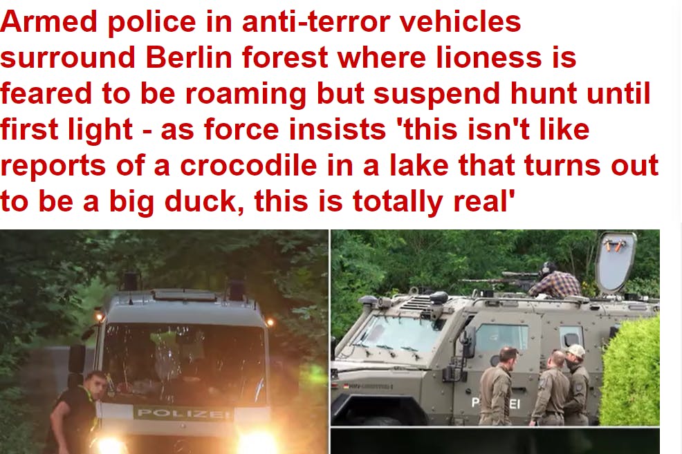 Medien wie die britische Daily Mail berichten über die Suche nach dem Löwen. 