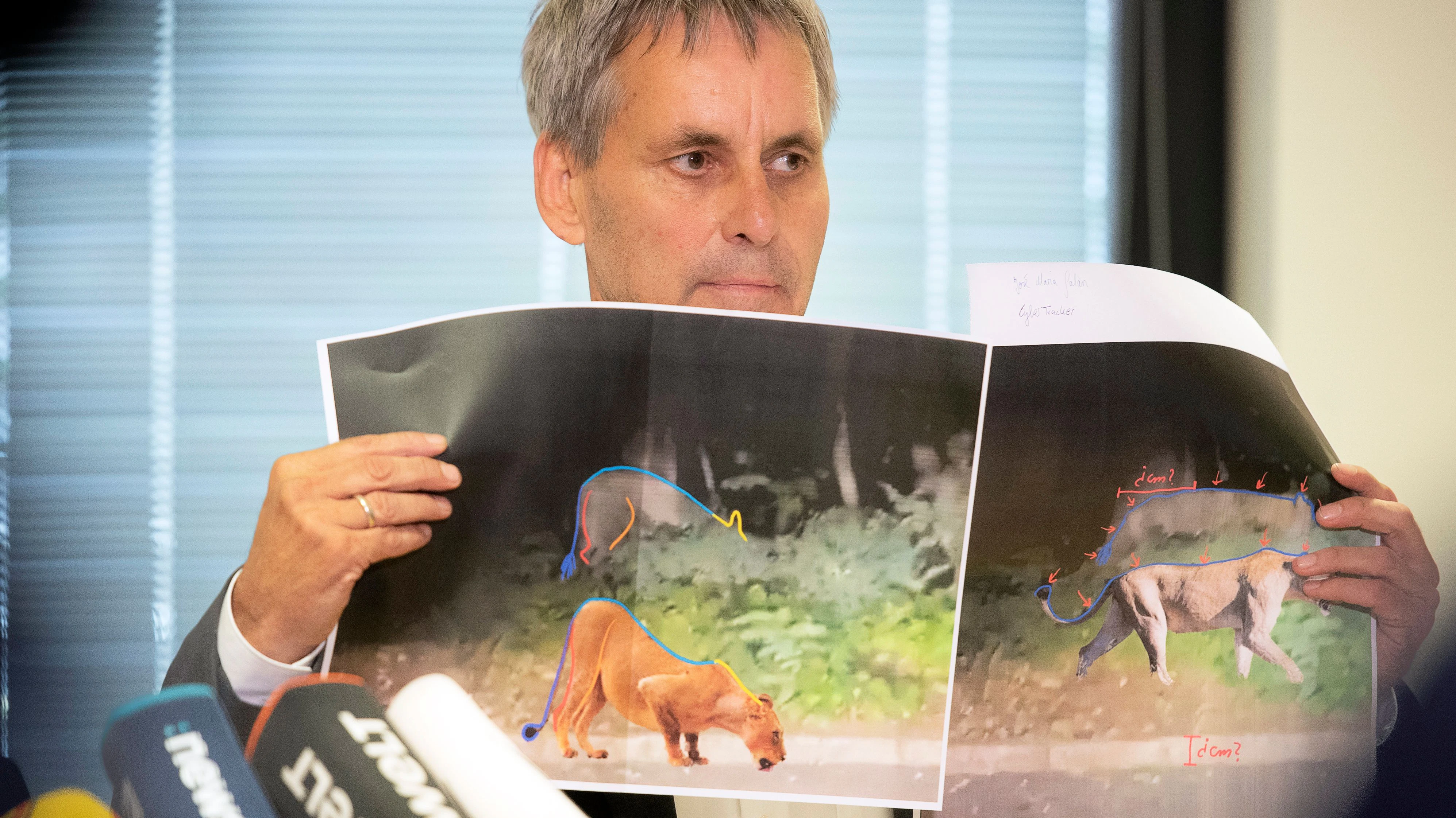 Michael Grubert (SPD), Bürgermeister von Kleinmachnow, erklärt bei einem Pressegespräch anhand von Fotos, weshalb es sich bei dem gesuchten Raubtier um keine Löwin handelt.
