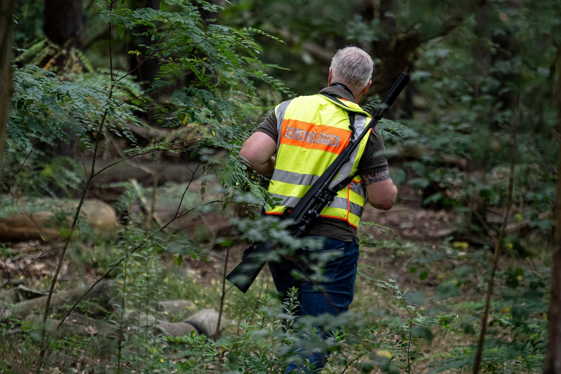 Nachdem am Donnerstag im Süden Berlins angeblich eine Löwin gesichtet wurde, kam es zum Großeinsatz. Mit Warnweste und Gewehr gingen auch Gemeindejäger auf die Suche. Zum ersten Mal lernten viele Berliner, dass es so etwas wie Stadtjäger gibt.