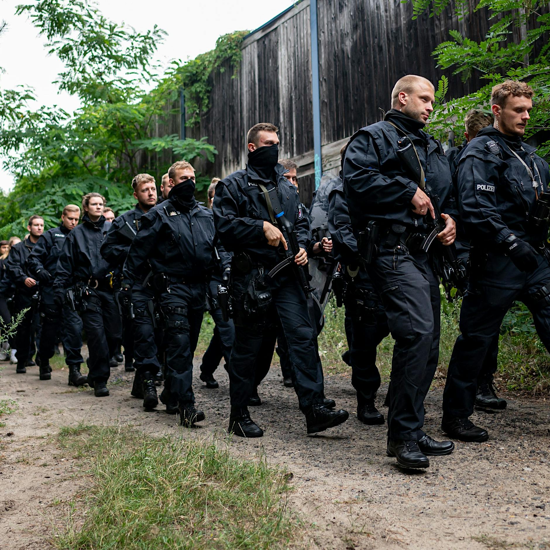 Löwin in Kleinmachnow nur ein Wildschwein – Suche wird eingestellt