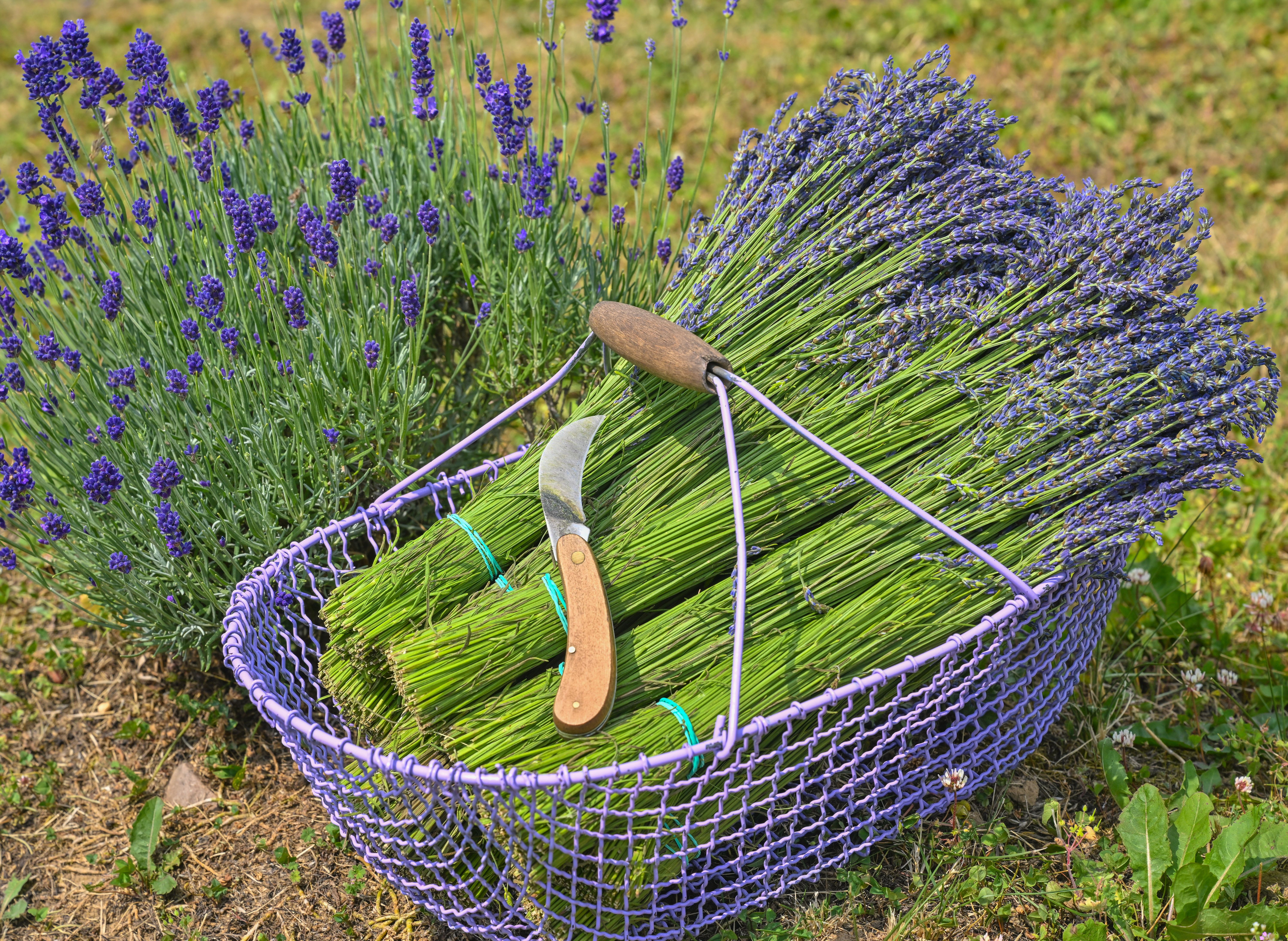 Uckermark: Wo kann man übernachten, was Tolles erleben? Tipps für den Familienurlaub