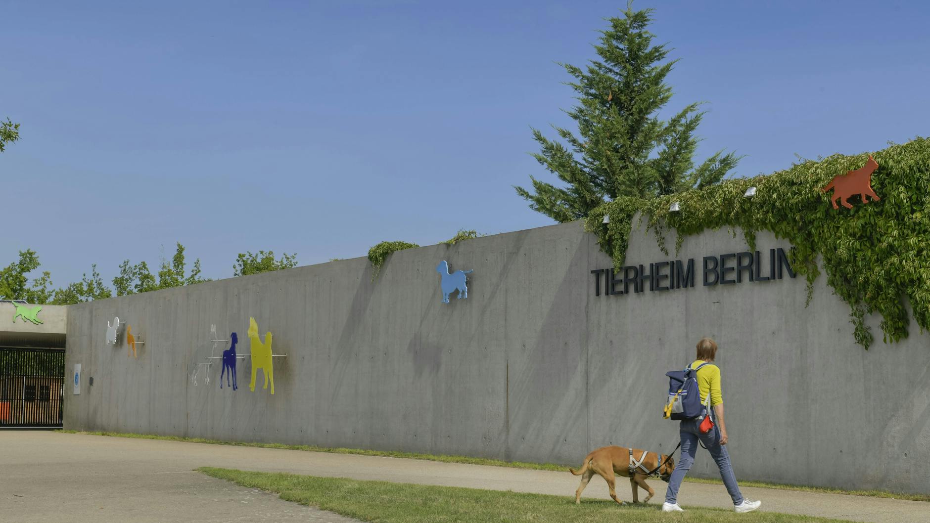 Das Tierheim Berlin ist das größte Tierheim in Europa.