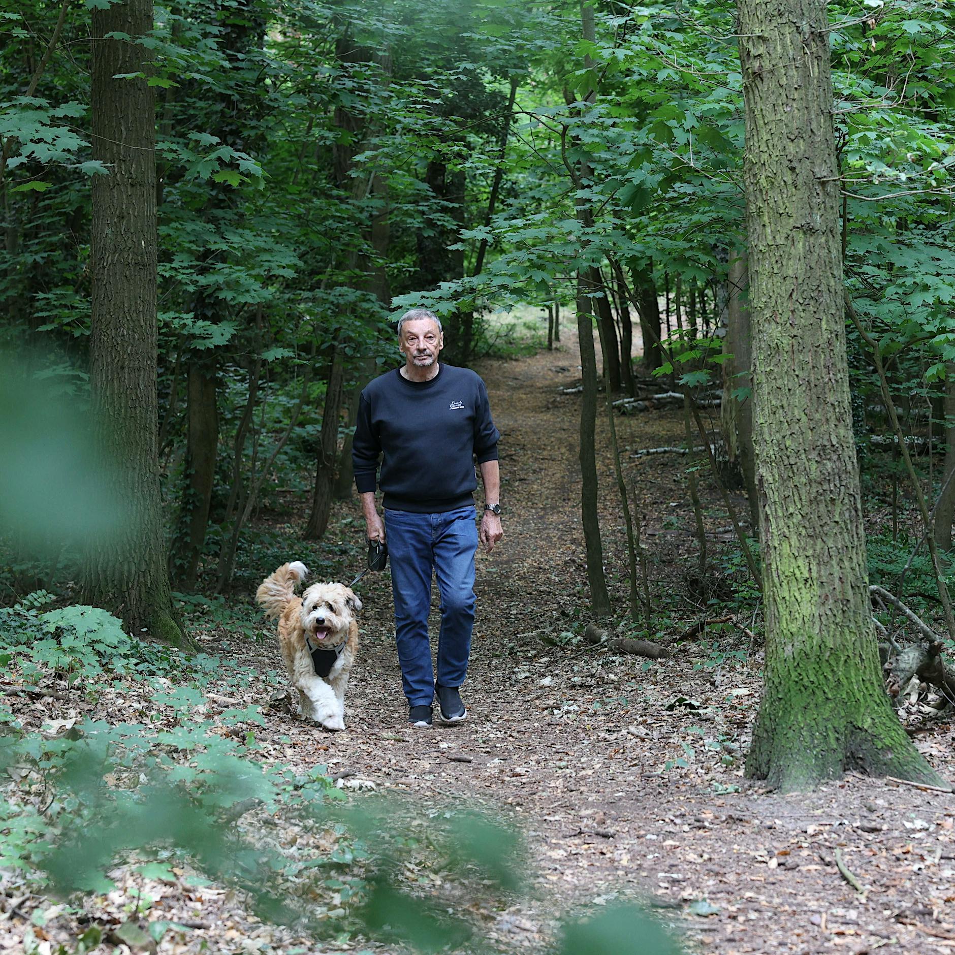 Wildschwein-Löwin: Zwischen Schrecken und Unglauben – so reagieren Anwohner