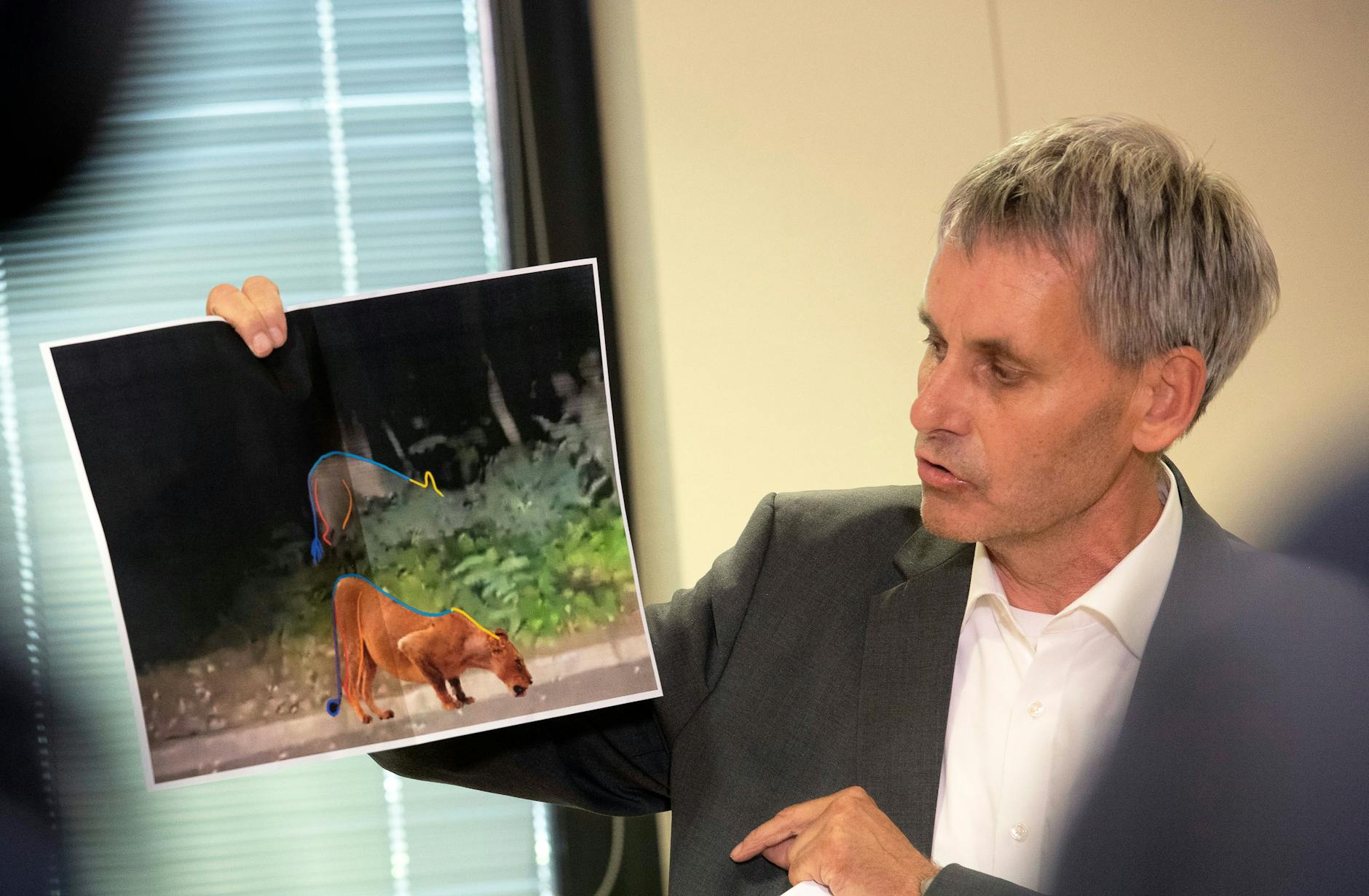 Am Ende gab es doch Entwarnung: Bei der vermeintlichen Raubkatze handele es sich um ein Wildschwein. Bei einem Pressegespräch erklärte der Bürgermeister von Kleinmachnow, Michael Grubert (SPD), wie es zu der Verwechslung kam. Noch mal Schwein gehabt!