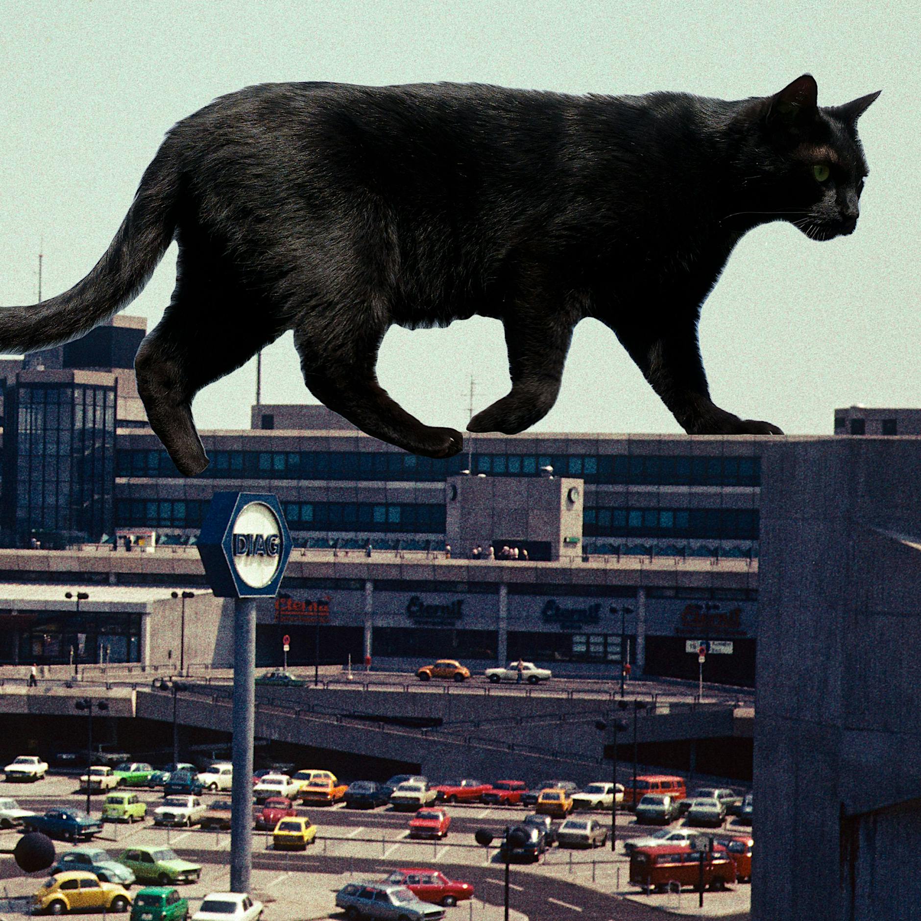 Geister und Gespenster: Wie Berlin zur Stadt des Aberglaubens wurde