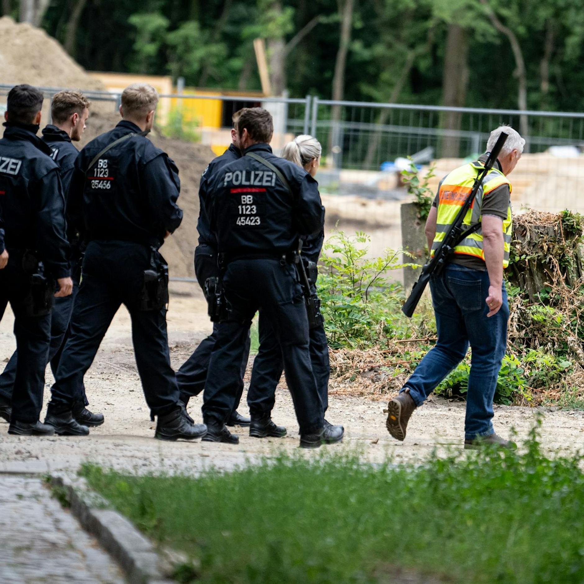 Debatte nach Jagd auf Löwin dauert an: Noch kein Ergebnis der Spuren-Analyse