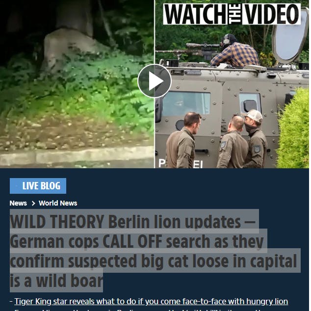 Sogar mit einem Live-Blog berichtete die englische Sun über die Löwin von Kleinmachnow.