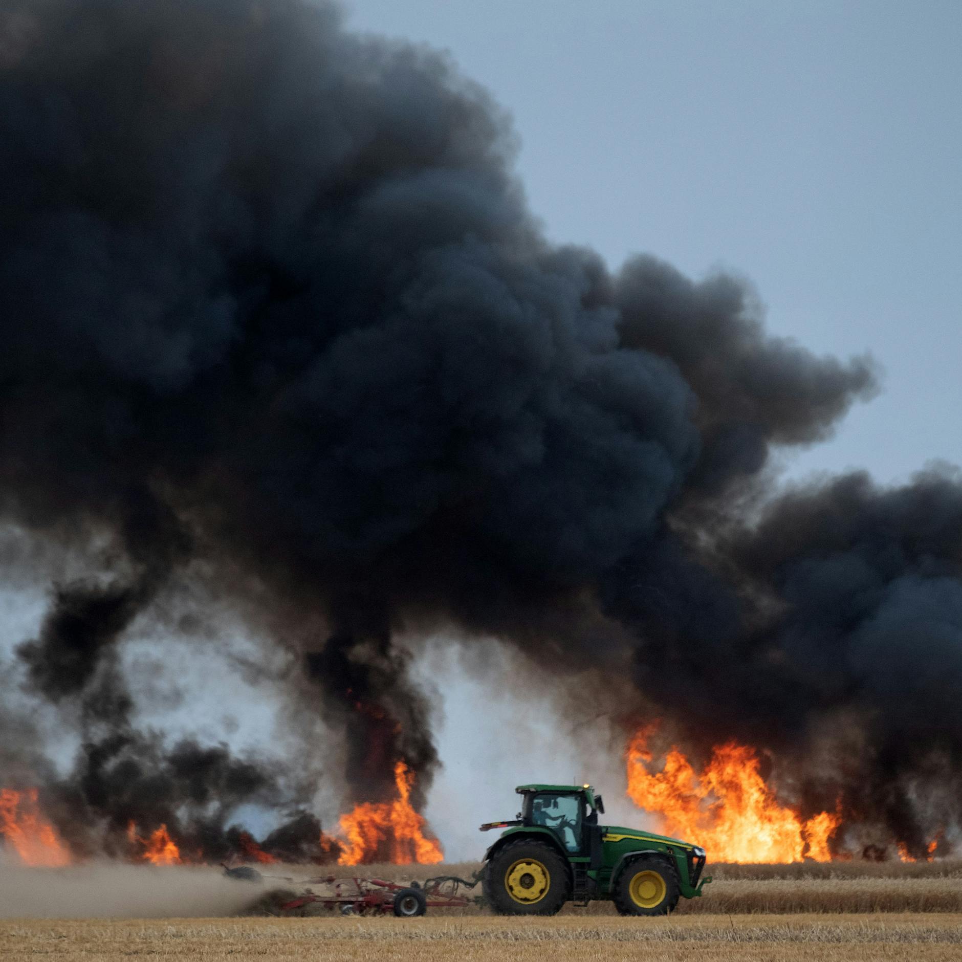 Wetter-Angst! DAS passiert, wenn jetzt einen Monat lang kein Regen fällt
