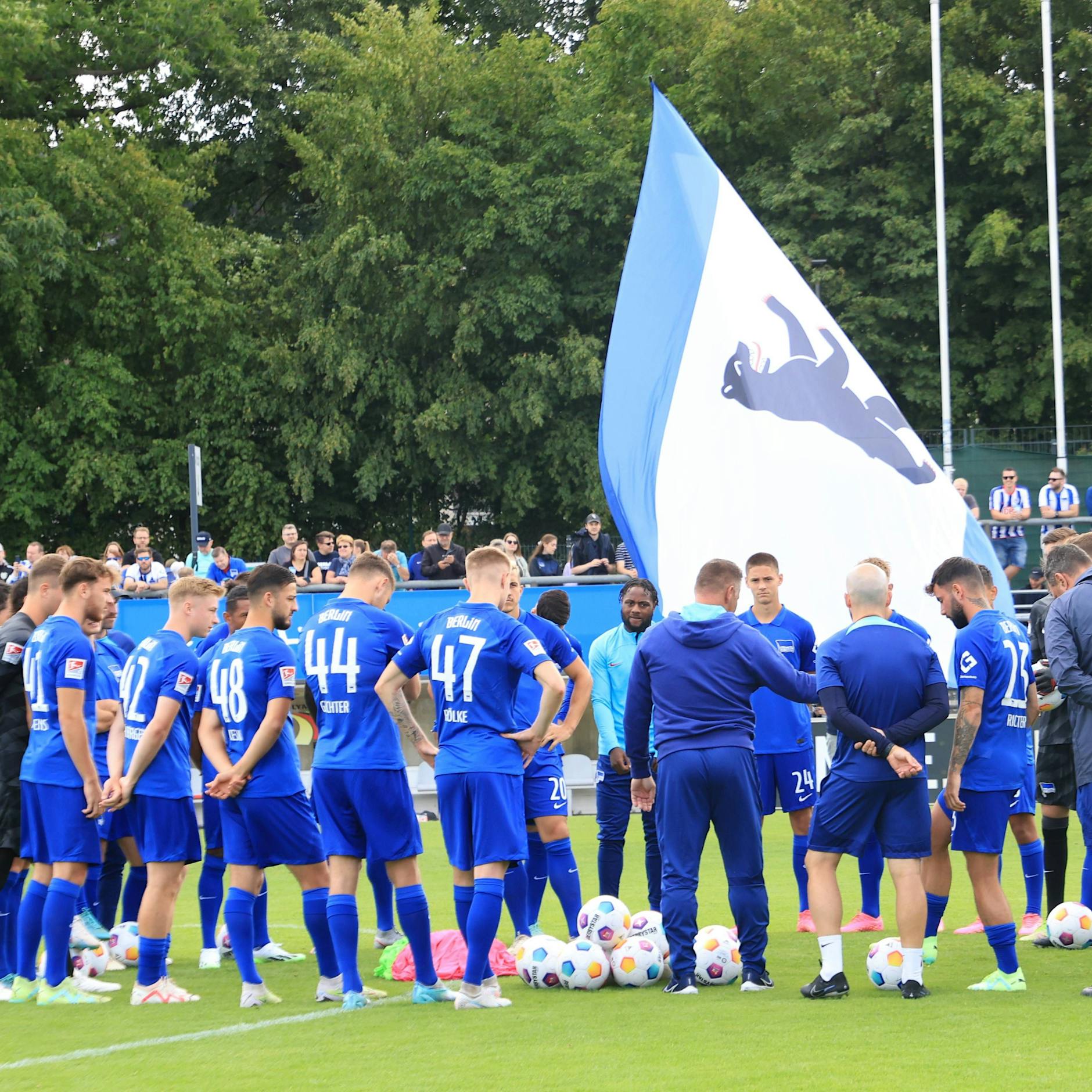 Hallo, Jungprofis, Herthas Abstieg ist eure Riesenchance!