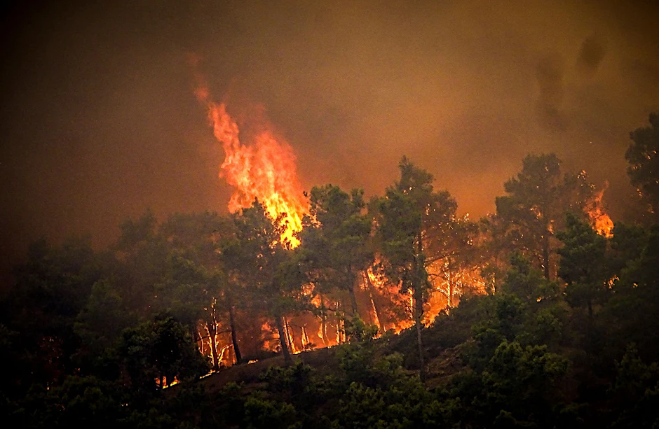 In Griechenland bedroht ein Waldbrand die Ferieninsel Rhodos. Viele Touristen mussten bereits evakuiert werden.