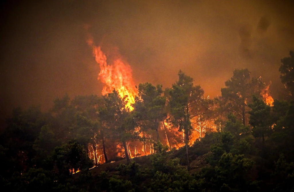 Deutsche Touristen berichten: So entkamen wir aus der Flammen-Hölle von Rhodos