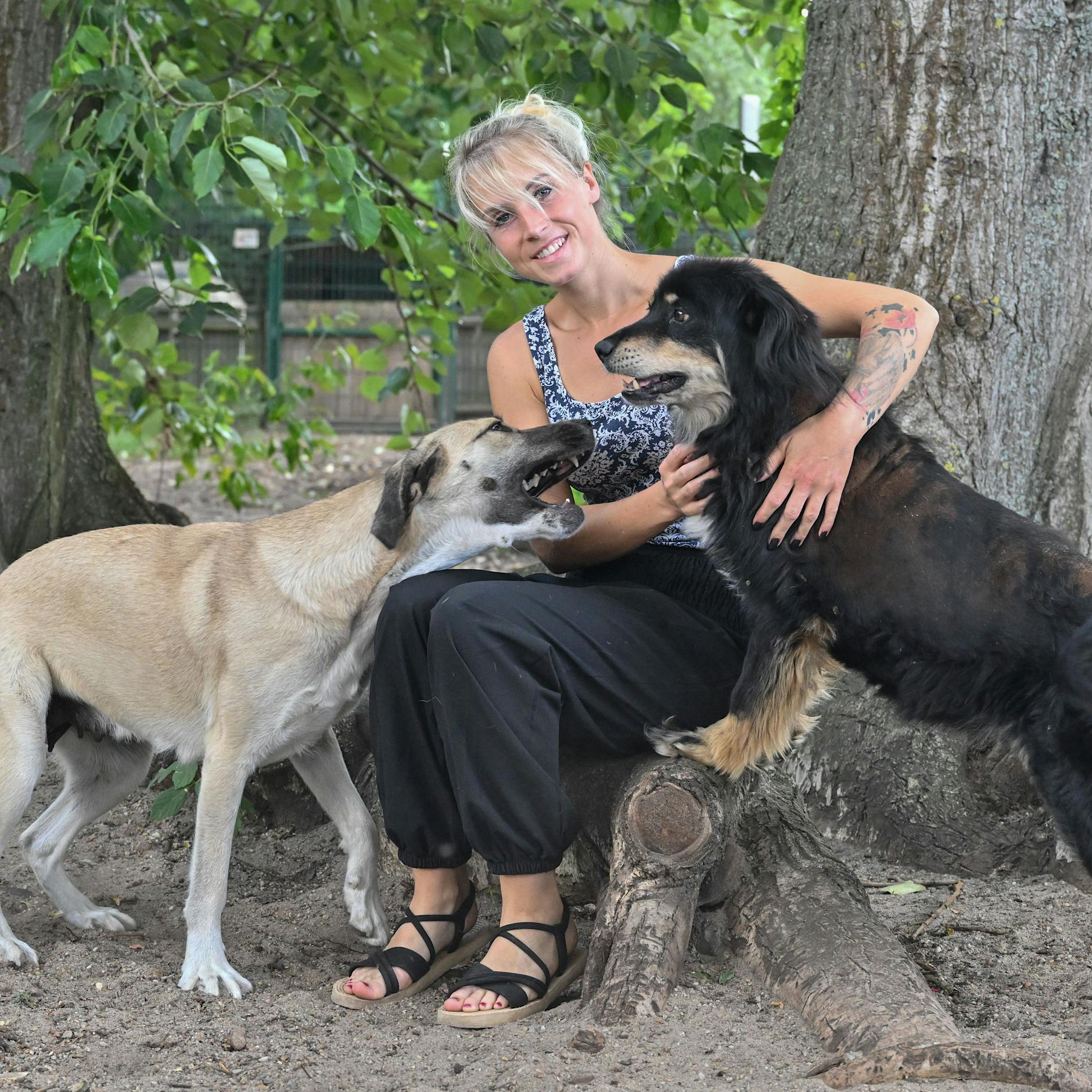 Der Engel der traurigen Tiere: „Wenn ich nicht helfe, tut es keiner!“