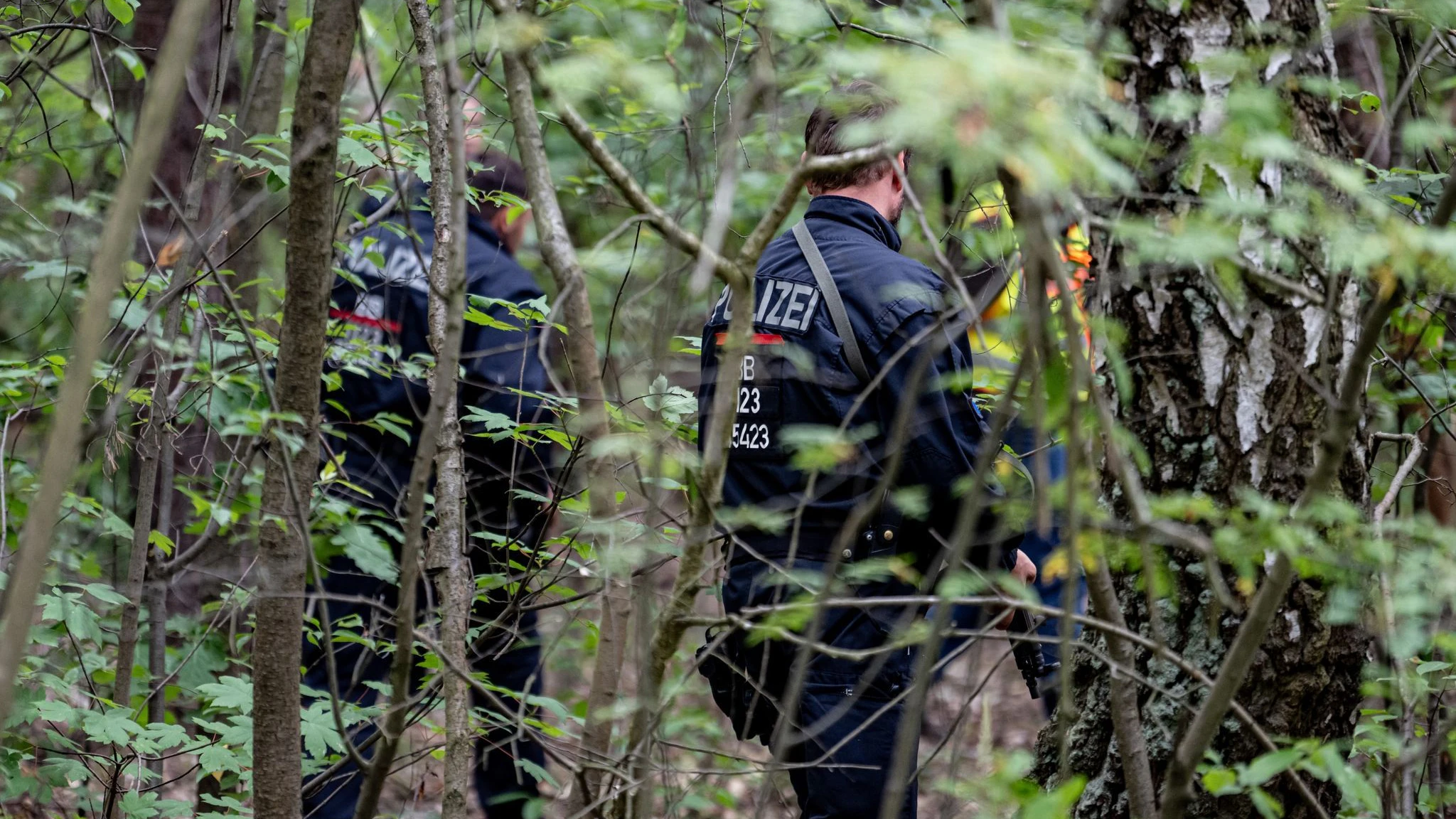 In den Wäldern bei Kleinmachnow suchte die Polizei nach der vermeintlichen Löwin?