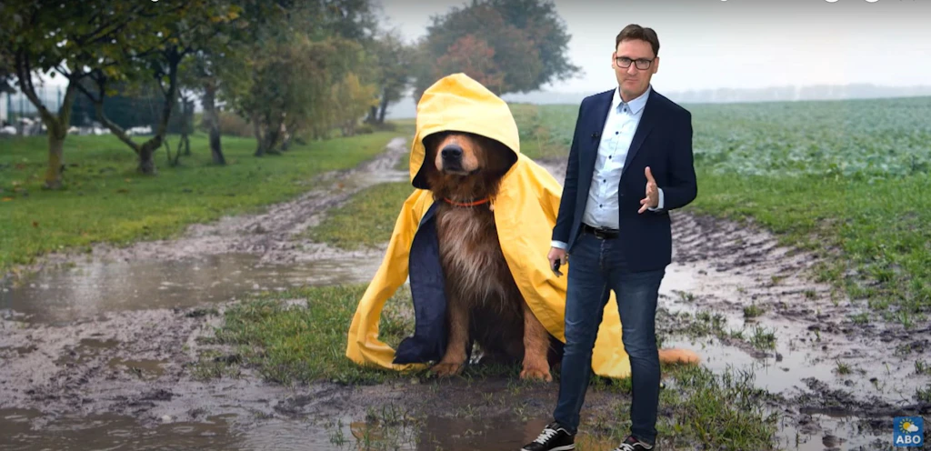 Herbstwetter mitten im Sommer – die Hundstage fallen ins Wasser!