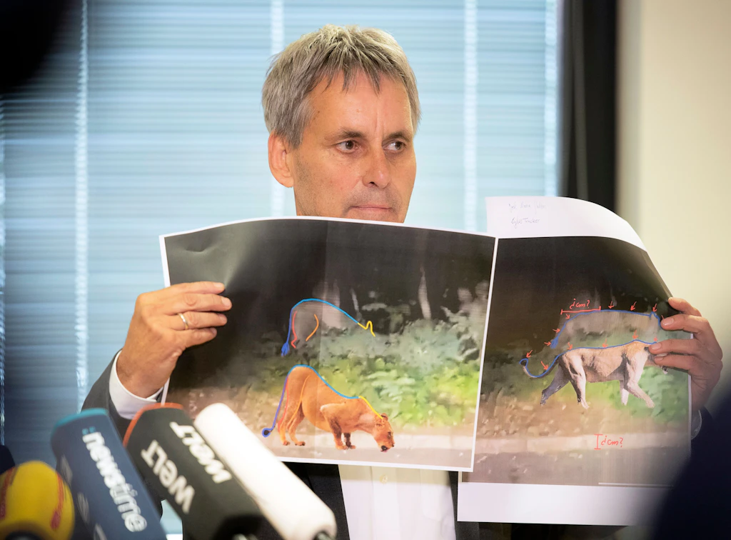 Löwin in Kleinmachnow? Vorläufige Ergebnisse der Spurenanalyse eindeutig