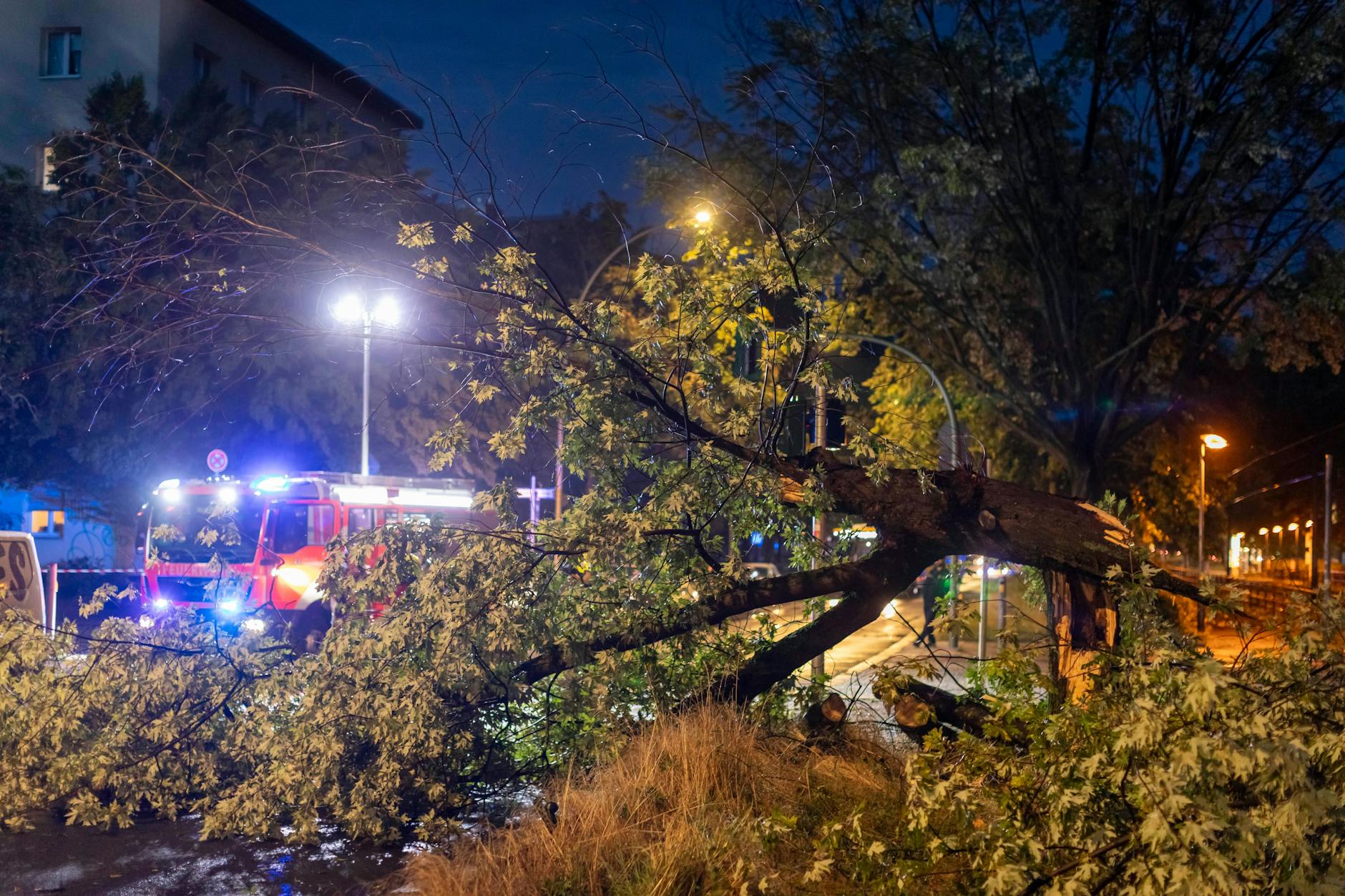 Umgestürzte Bäume versperren Straßen und Gleise. Es kommt zu Sperrungen und Störungen bei der S-Bahn.