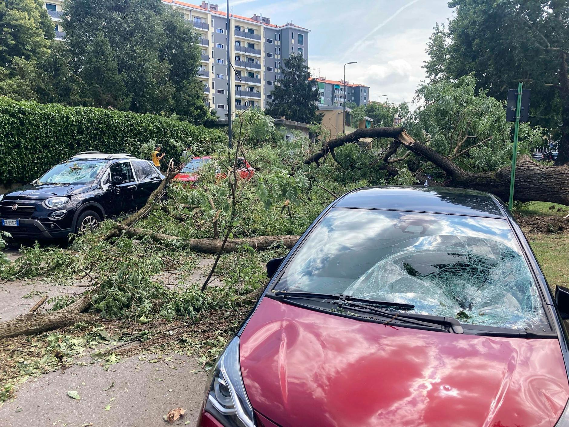 Ein umgestürzter Baum liegt neben beschädigten Autos in der norditalienischen Stadt Mailand.