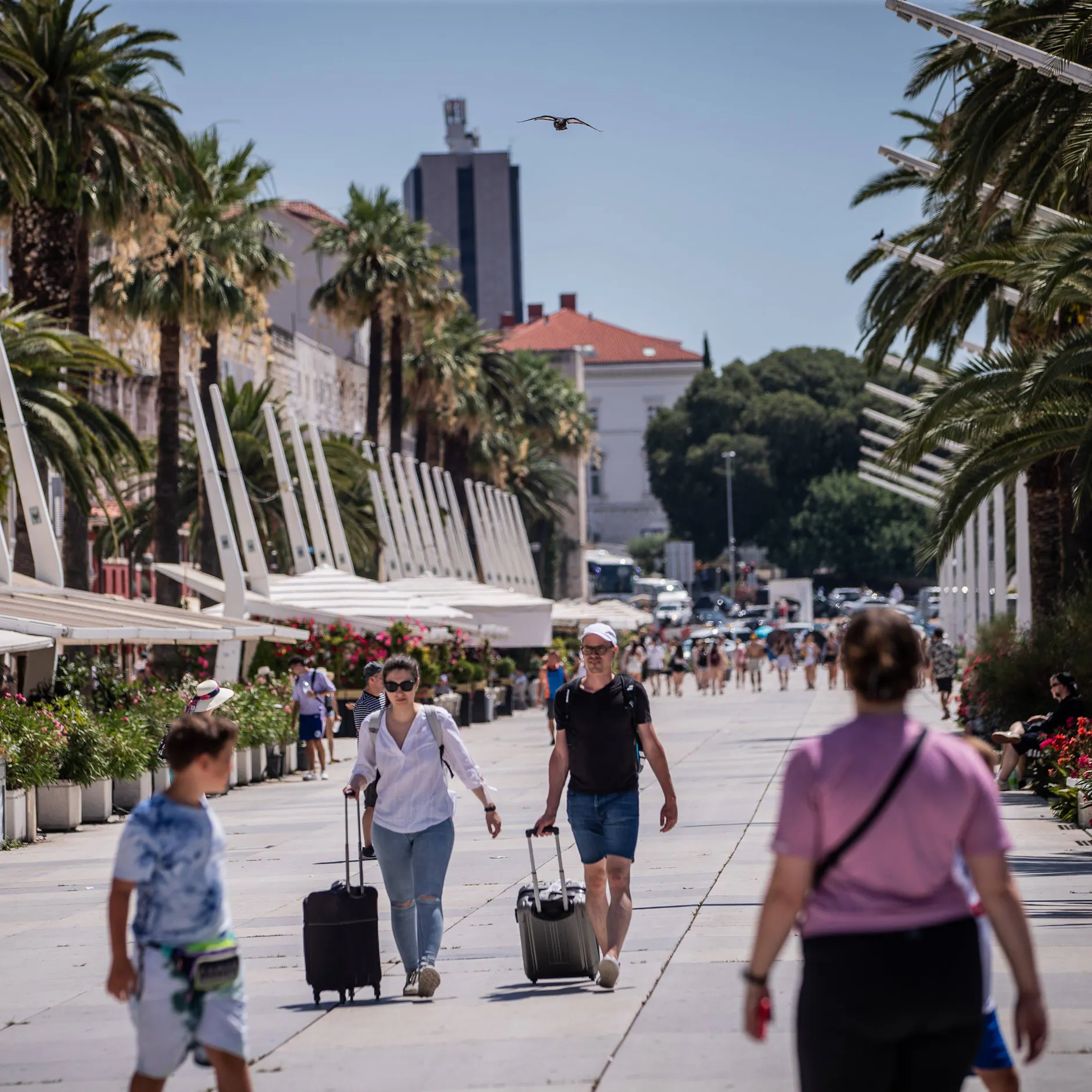 Image - Split – Alkoholleichen in der Altstadt: Kroatien-Urlauber riskieren horrende Strafen