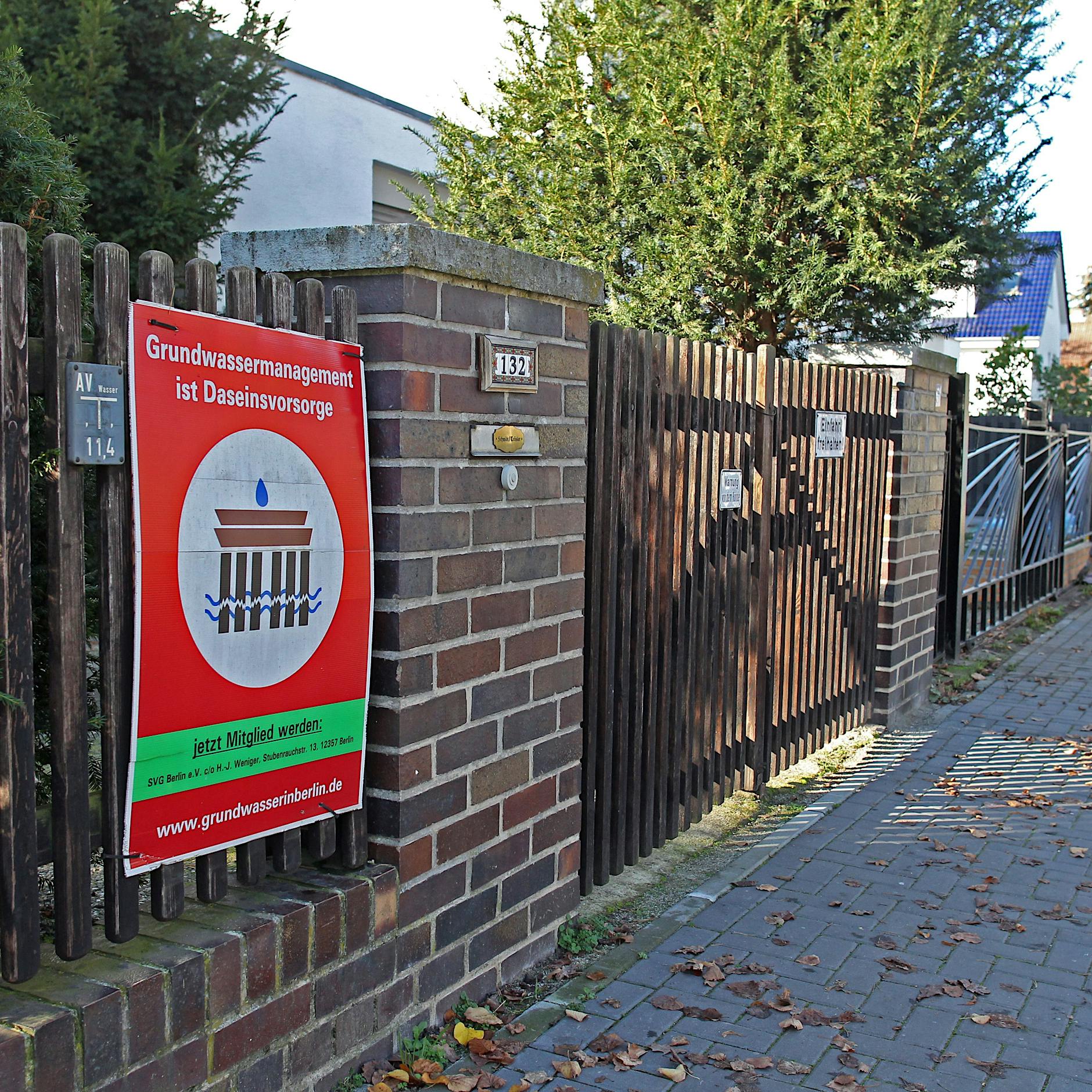 Grundwasser im Berliner Blumenviertel steigt: Kann der Senat das Problem lösen?