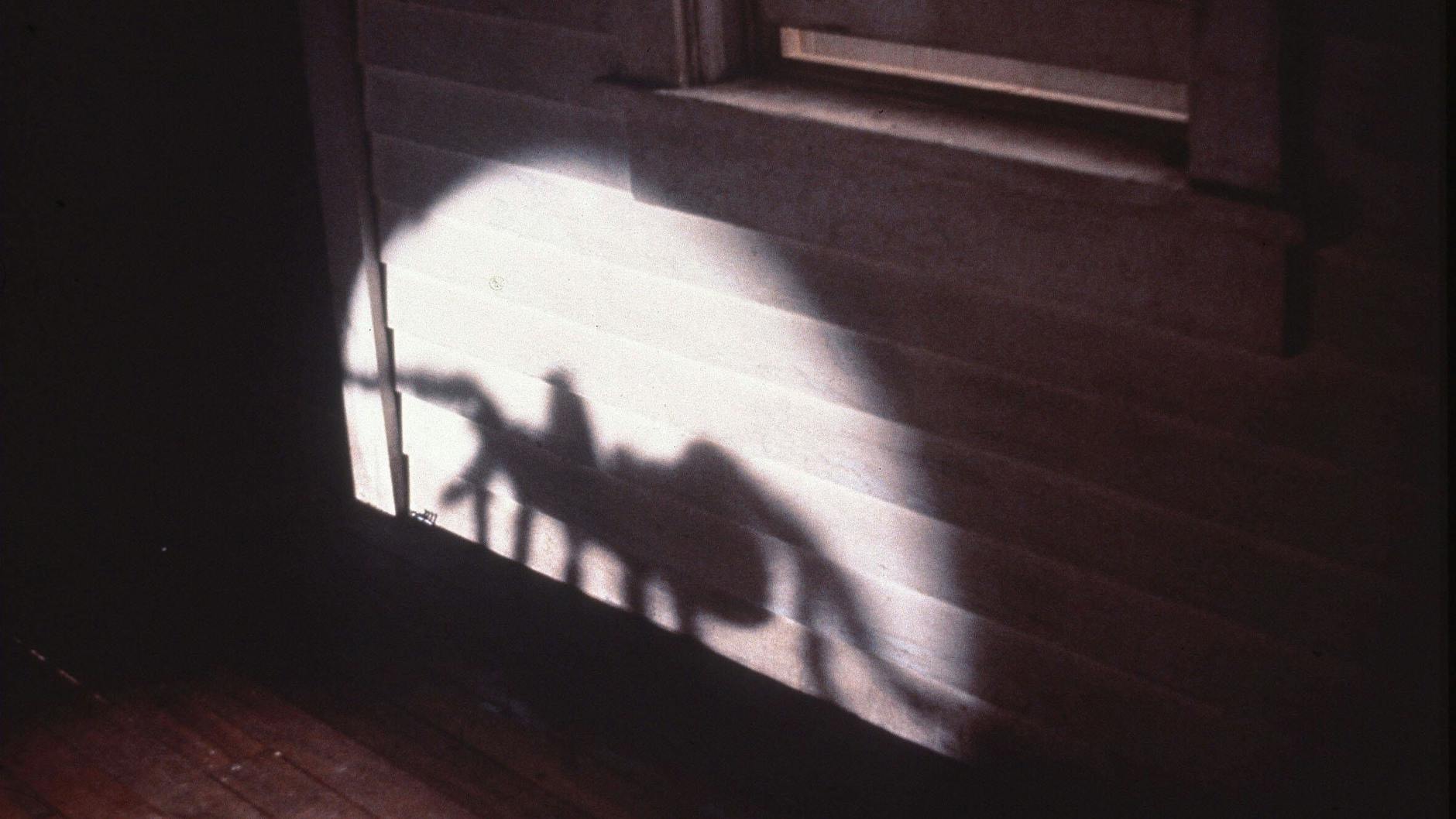 Gruselig! Im Film Arachnophobia geht es um mutierte Spinnen, die eine Stadt in Angst und Schrecken versetzen.