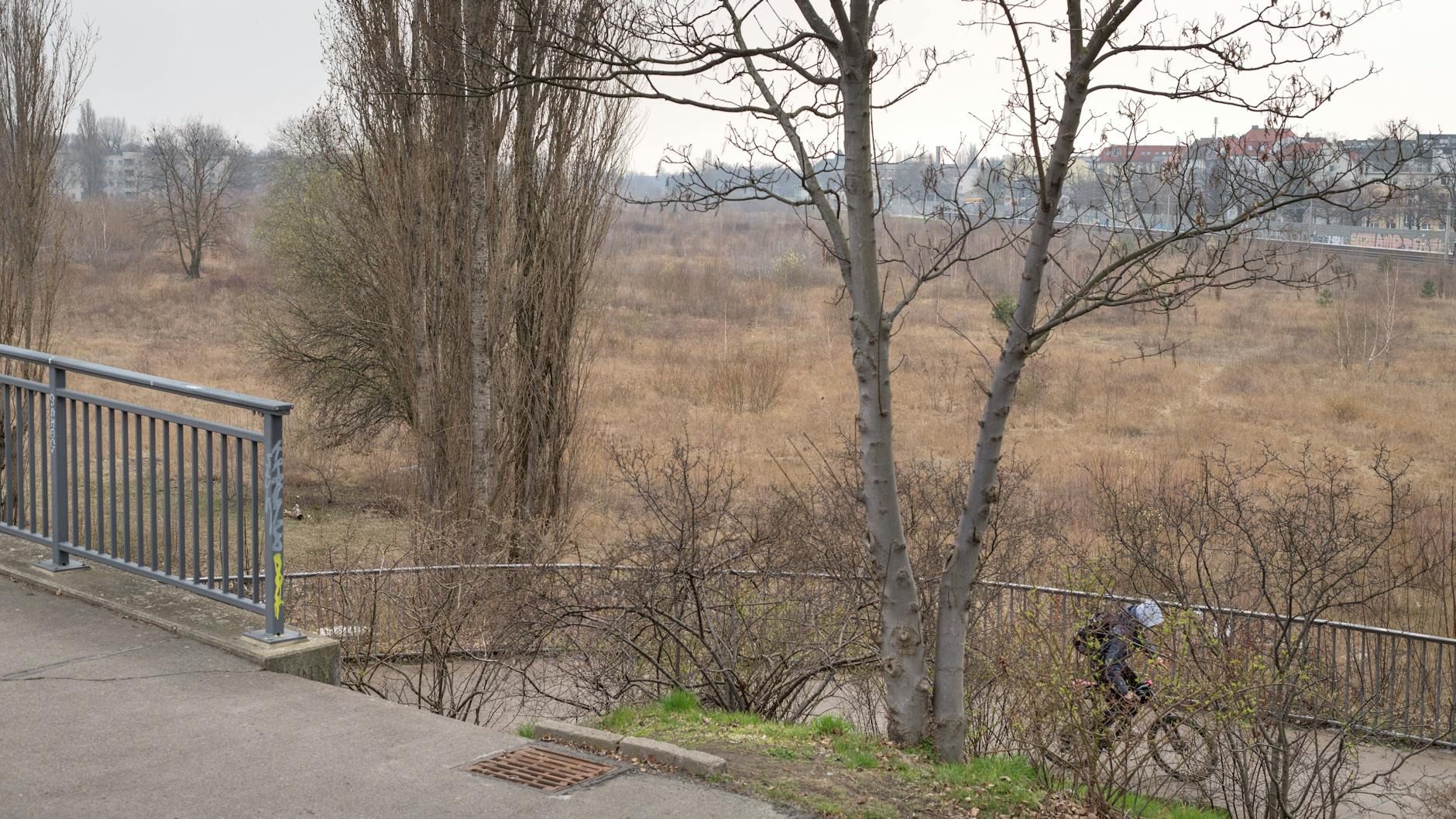 Brachen, wie hier in Pankow auf einem ehemaligen Bahngelände in Heinersdorf, werden immer seltener in Berlin. Auch dieses Areal soll als Pankower Tor bebaut werden. 