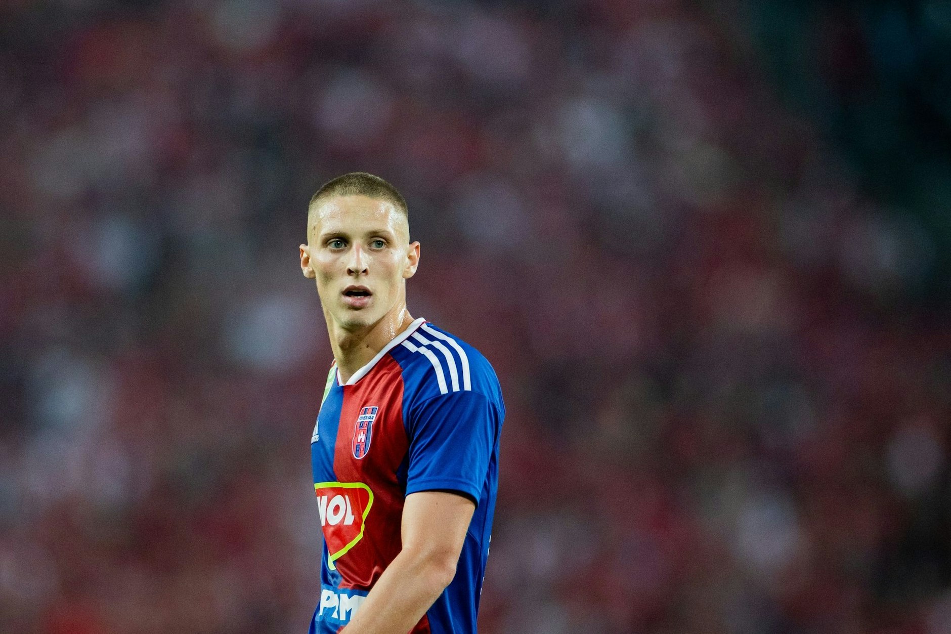 Hertha komplettiert das DardaiQuartett Palko kehrt zurück