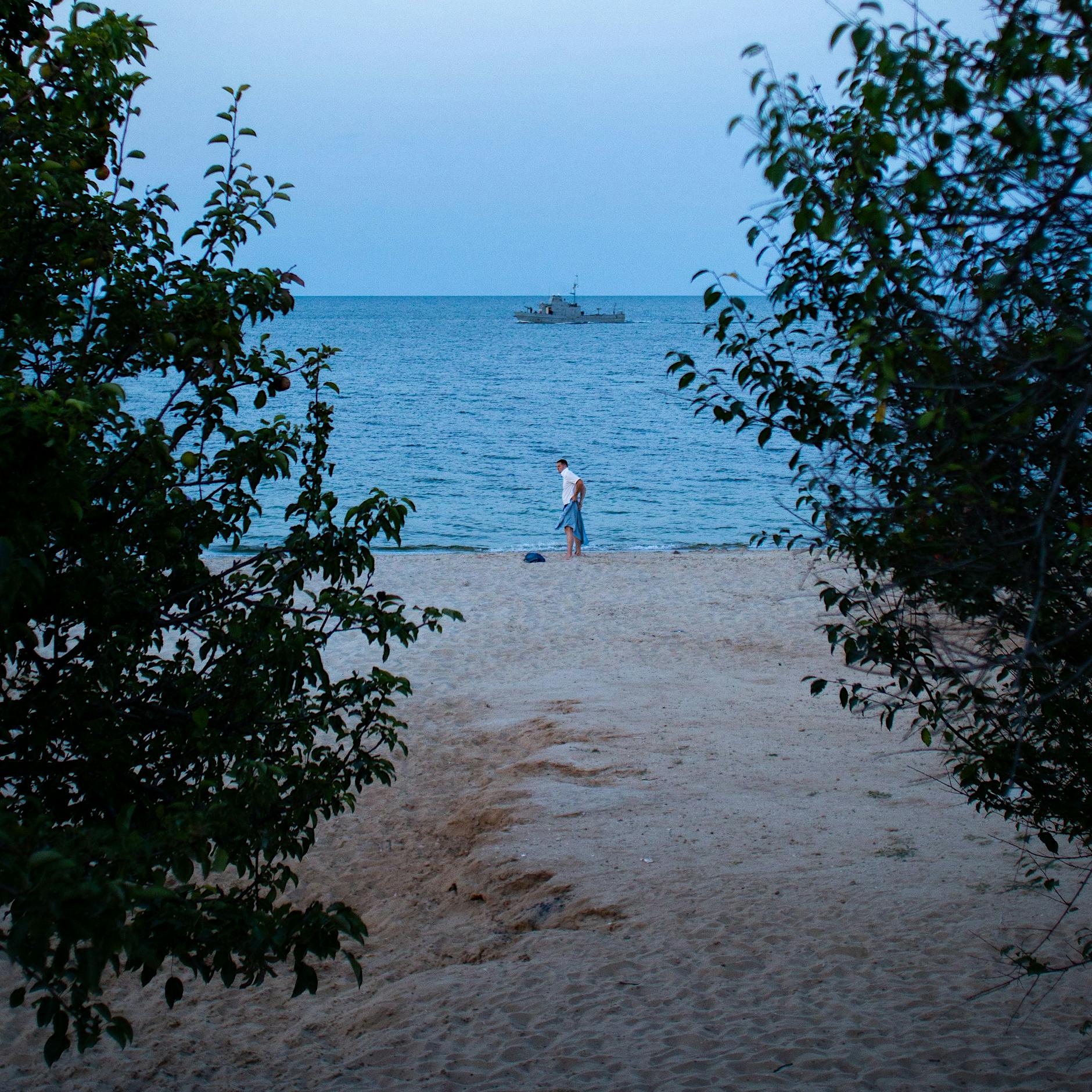 Wie die Löwin aus Kleinmachnow im Zug nach Odessa zum Thema wurde